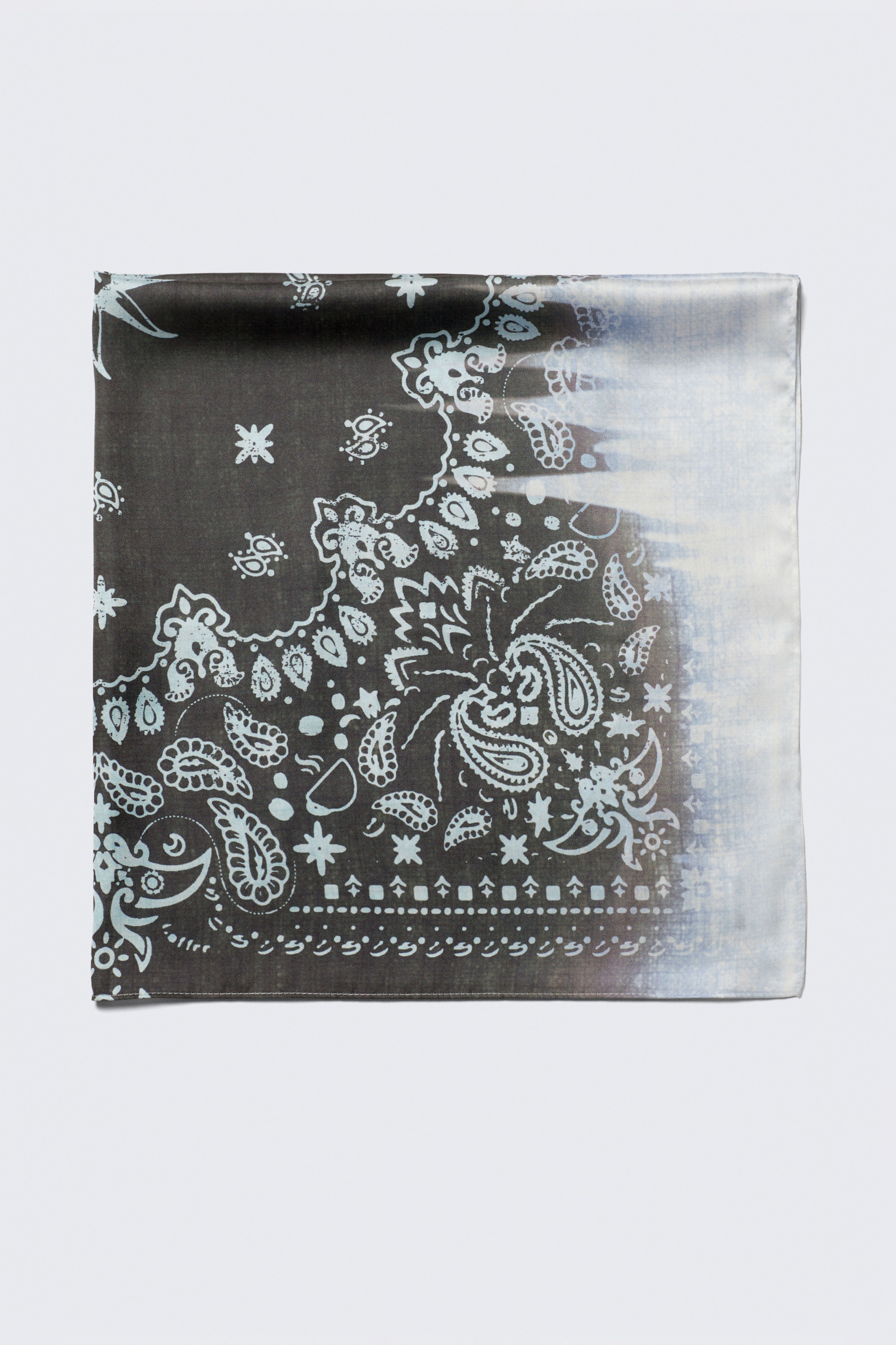 WHATWEWANT HASAMUYATSUナラ WWW_HASAMUYATSU – WHAT WE WANT