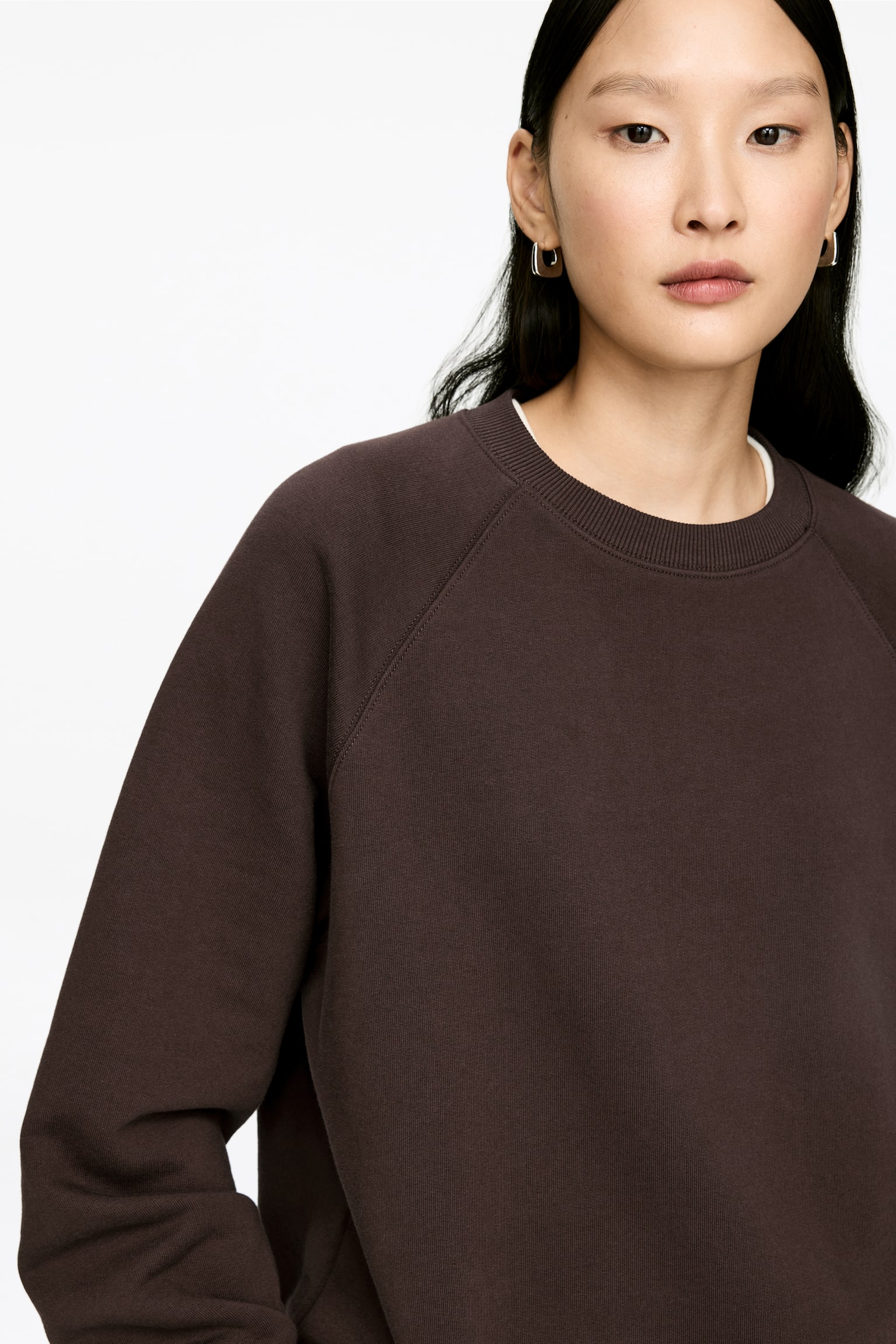 Sweatshirt i French terry - Mörkbrun/Blå/Brun/Gråmelerad/Ljusturkos/Röd/Mörkblå - 5