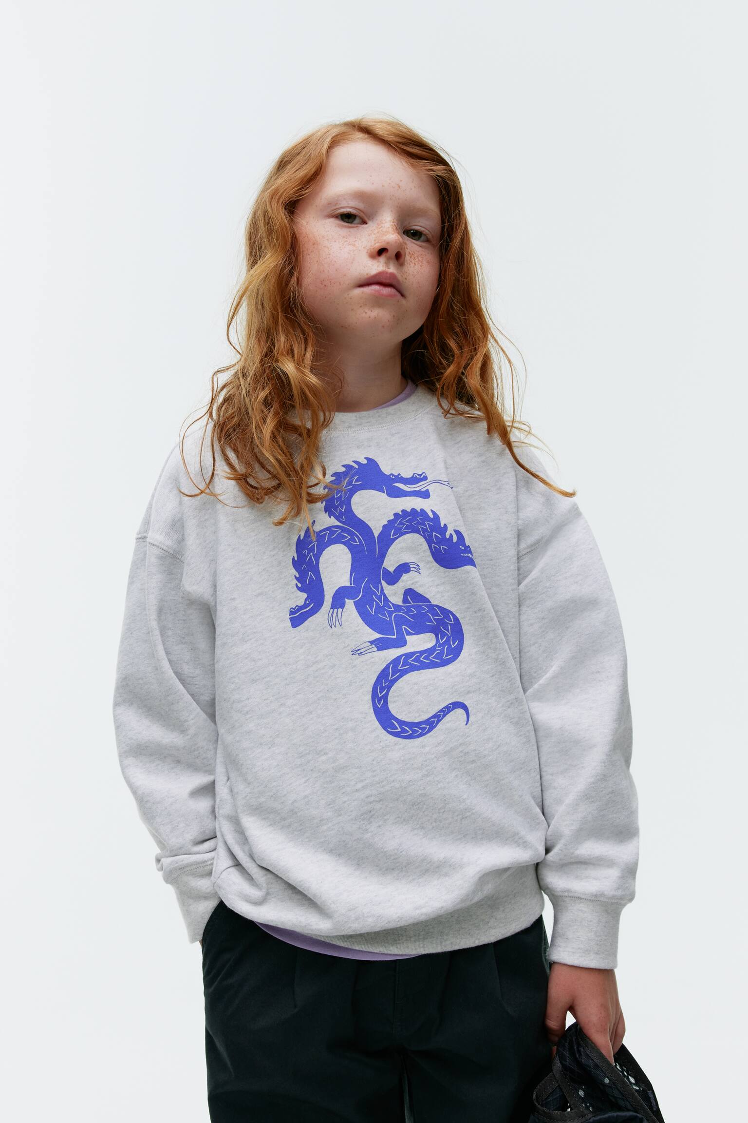 Relaxed Sweatshirt - Grey/Dragon - 4