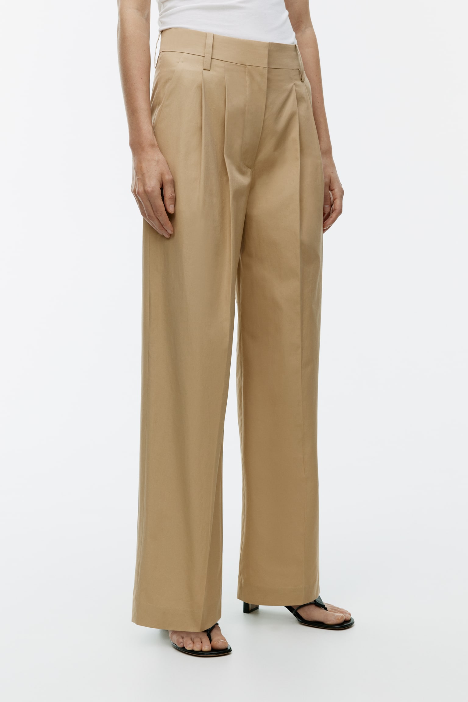 Wide Pleated Trousers - Beige - 5