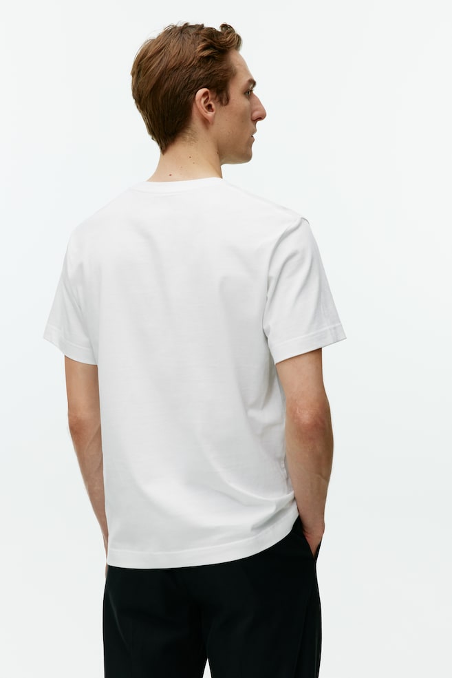 Heavyweight t-shirt - Vit/Svart/Ljusgråmelerad/Mörkblå/dc/dc/dc/dc/dc - 6
