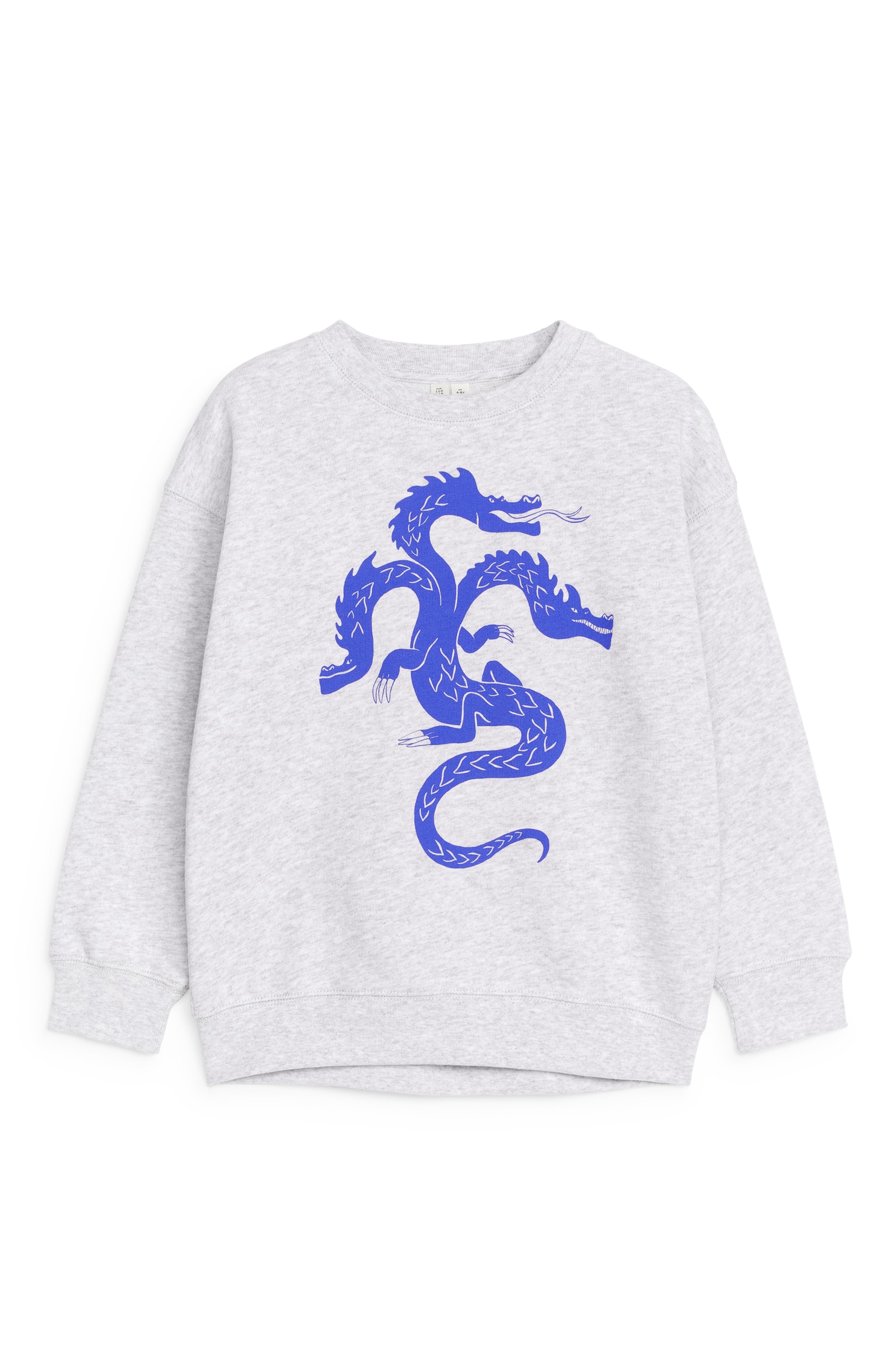 Relaxed Sweatshirt - Grey/Dragon - 1