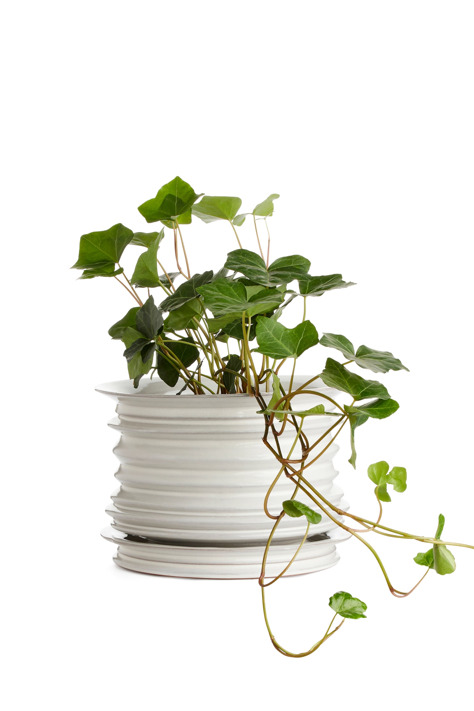 Ceramic Plant Pot - White - 2