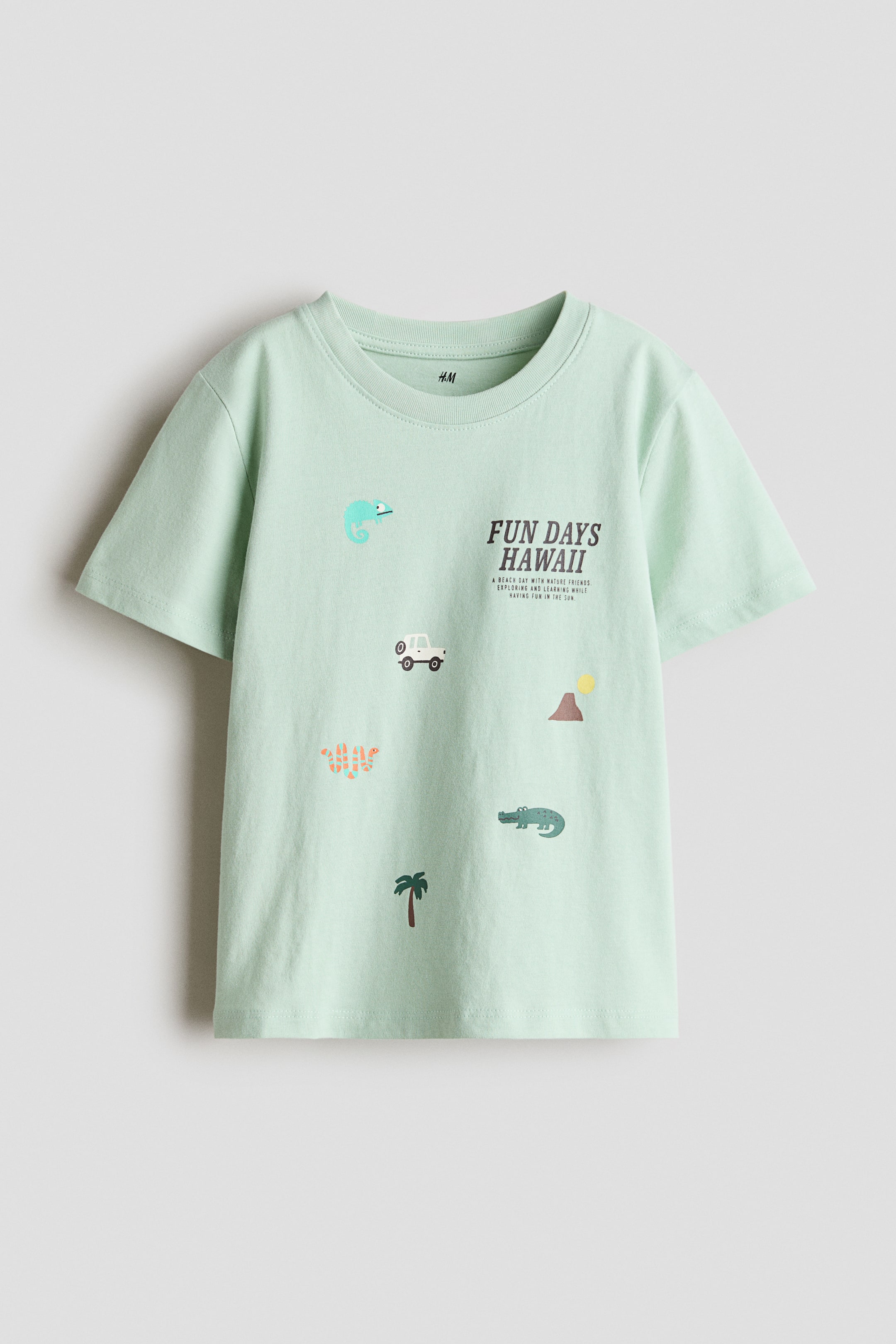 Größeres Bild ansehen: Ein nach vorne gerichtetes T-Shirt aus weichem, hellgrünem Baumwolljersey mit Rippbündchen am Halsausschnitt, überschnittenen Schultern und einem gerade geschnittenen Saum. Auf der Vorderseite ist ein "FUN DAYS HAWAII"-Grafikdruck zu sehen, zusammen mit Illustrationen eines Chamäleons, eines Geländewagens, einer Palme, einer Schlange, eines Vulkans und eines Krokodils.