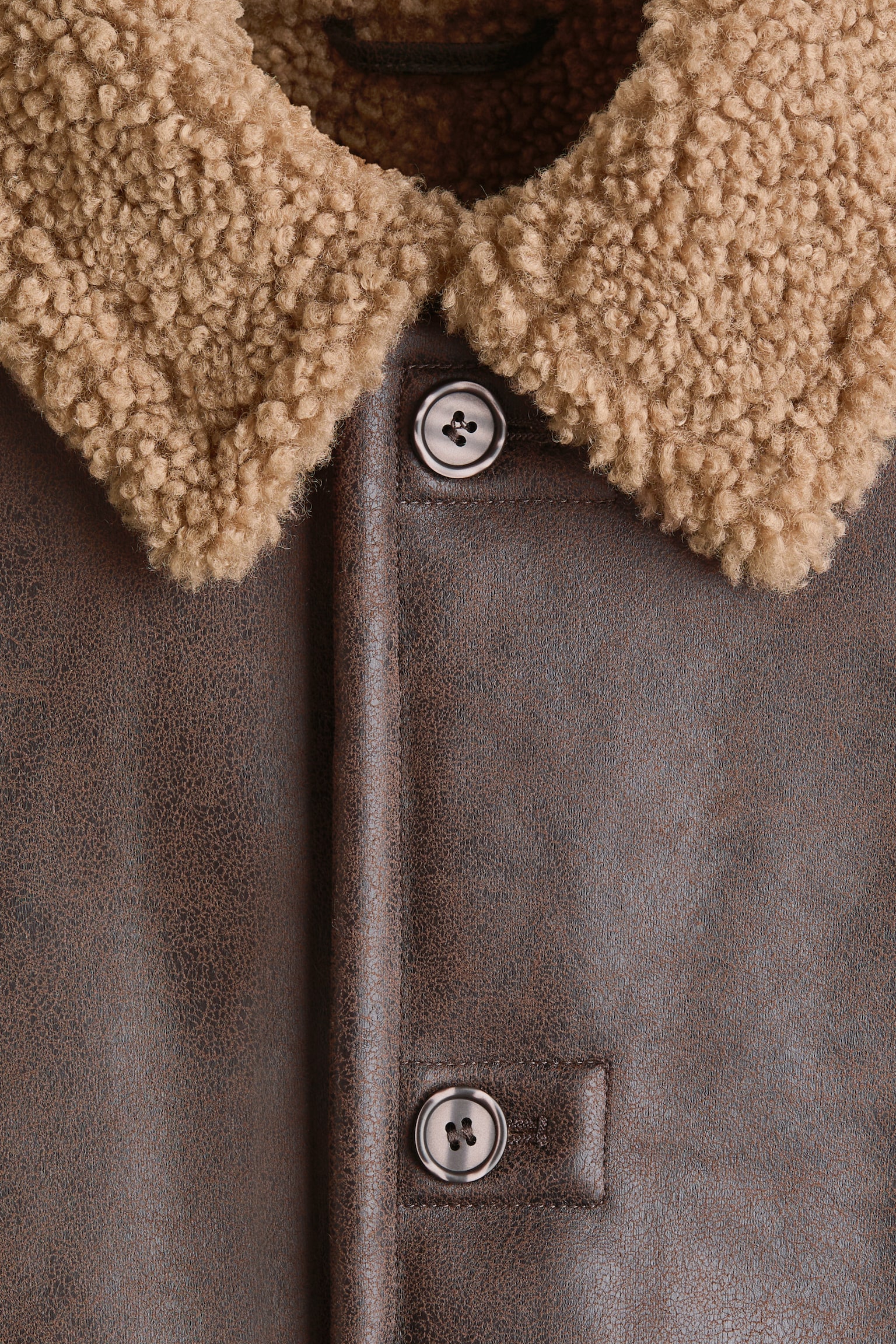 Jacket in coated fabric - Dark brown - 3