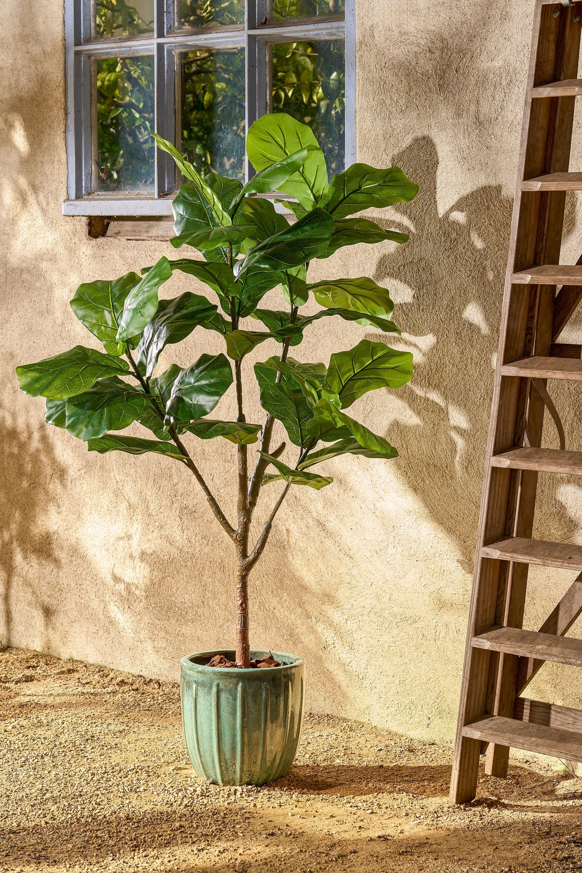 Kunstpflanze Ficus Lyrata - Grün