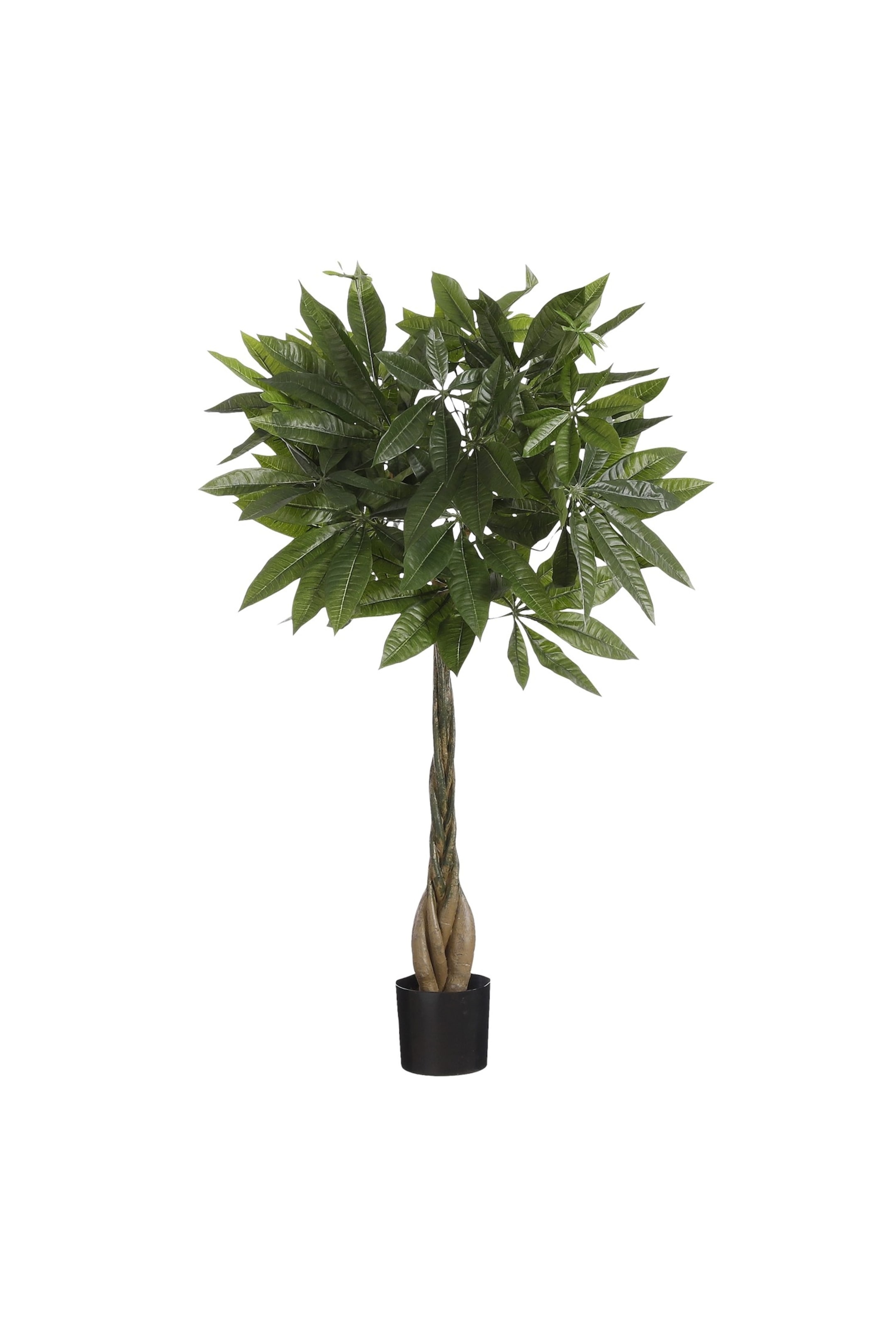 Agrandir l'image: Pachira plante artificielle - Vert - Mica Decorations - Home All | H&M FR 1