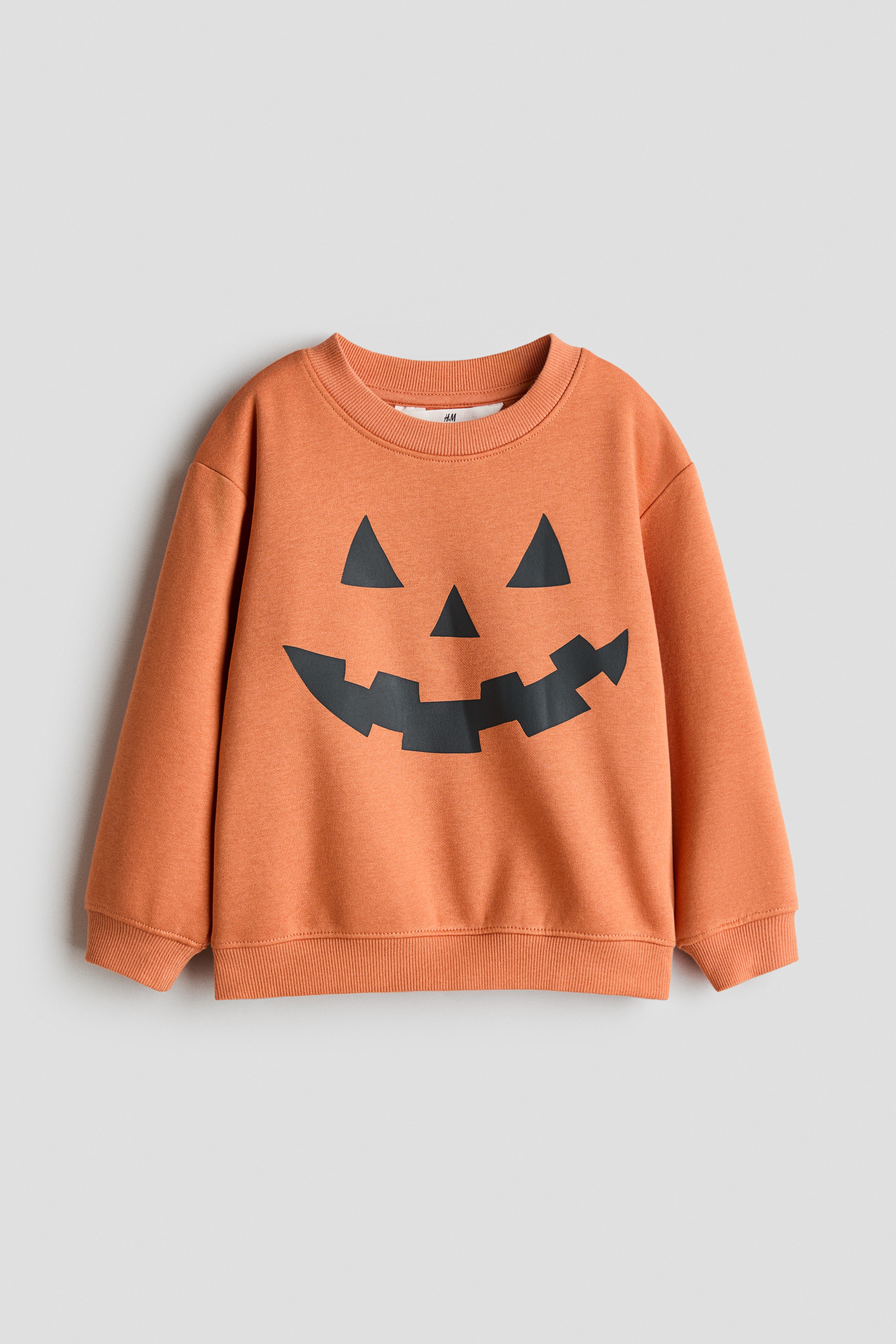 Printed brushed-inside sweatshirt - Orange/Jack-o'-lantern/Dark brown/Lion/Light beige/Dinosaurs/Grey/Spider/Light grey marl/Chelsea/Mint green/Skulls/Cream/New York Diner/Beige/Dinosaurs/White/Green striped