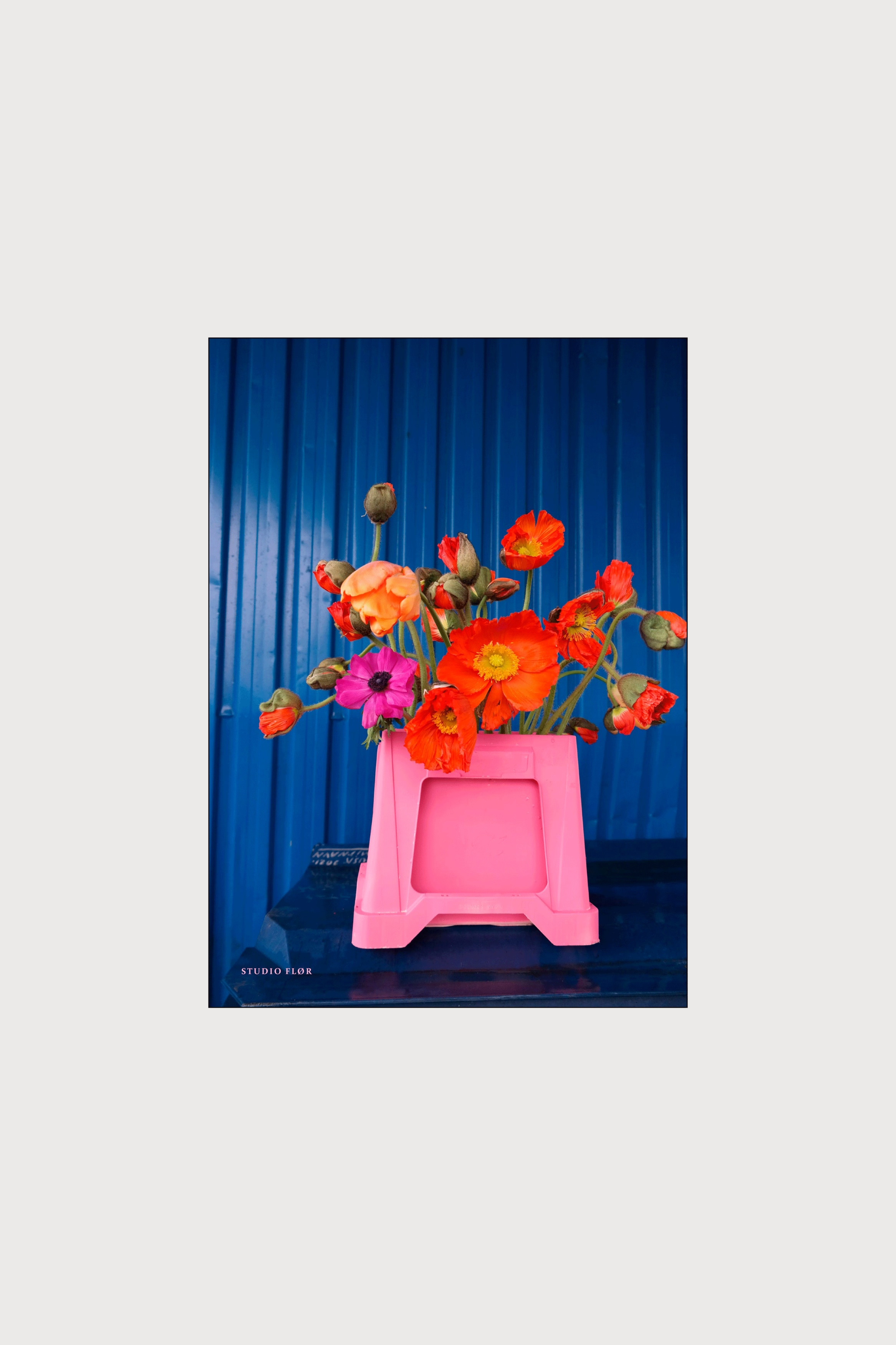 Poster & Frame - Studio Flør - Cleaning Up - Kleurrijk/botanisch - size: 50x70