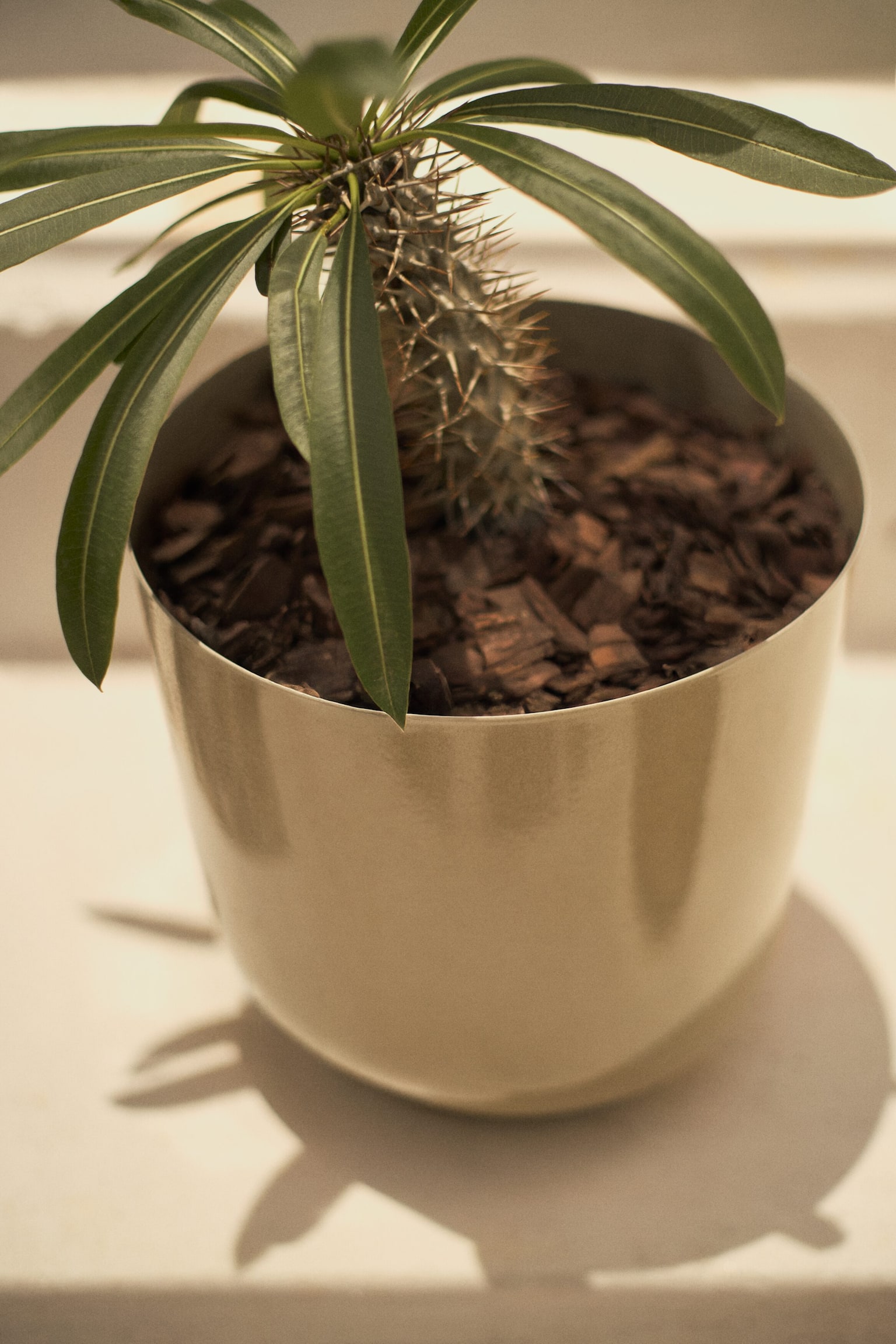 Grosser Blumentopf aus Metall - Beige/Helles Taupe/Khakigrün/Dunkelbraun - 6