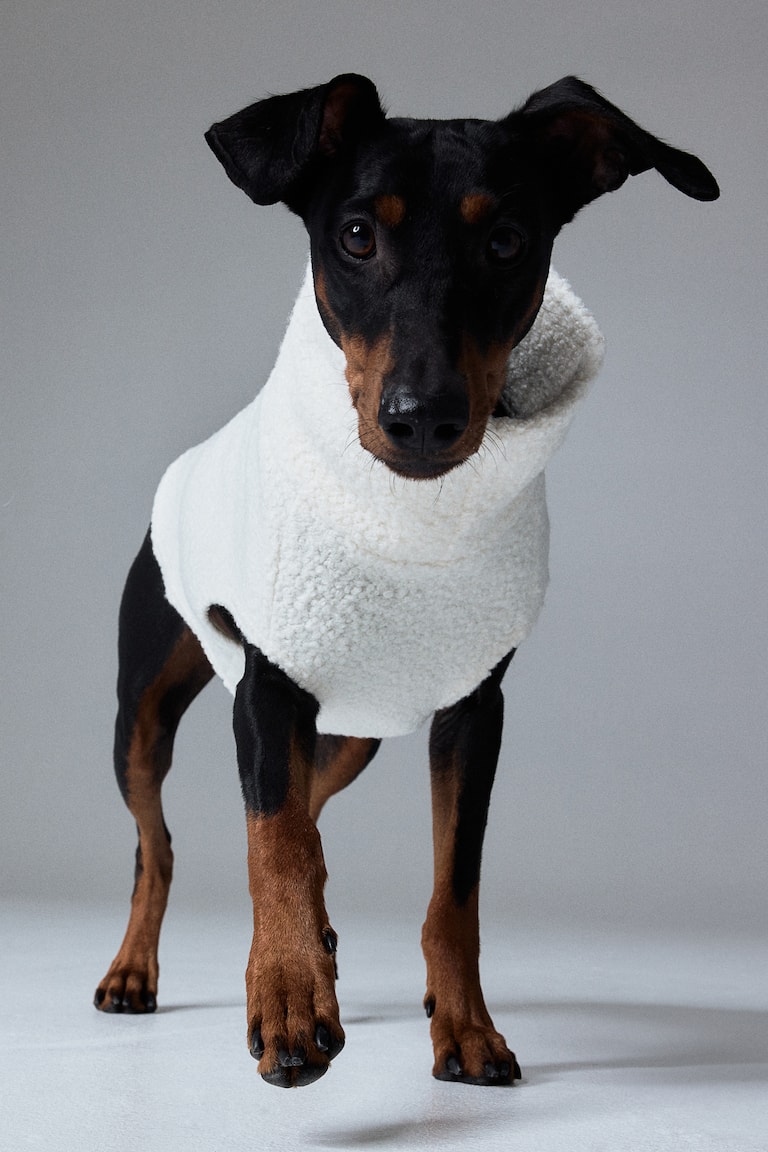 Ropa Jersey Perro Hm Jersey Para Perro En Borreguito Crema MUJER