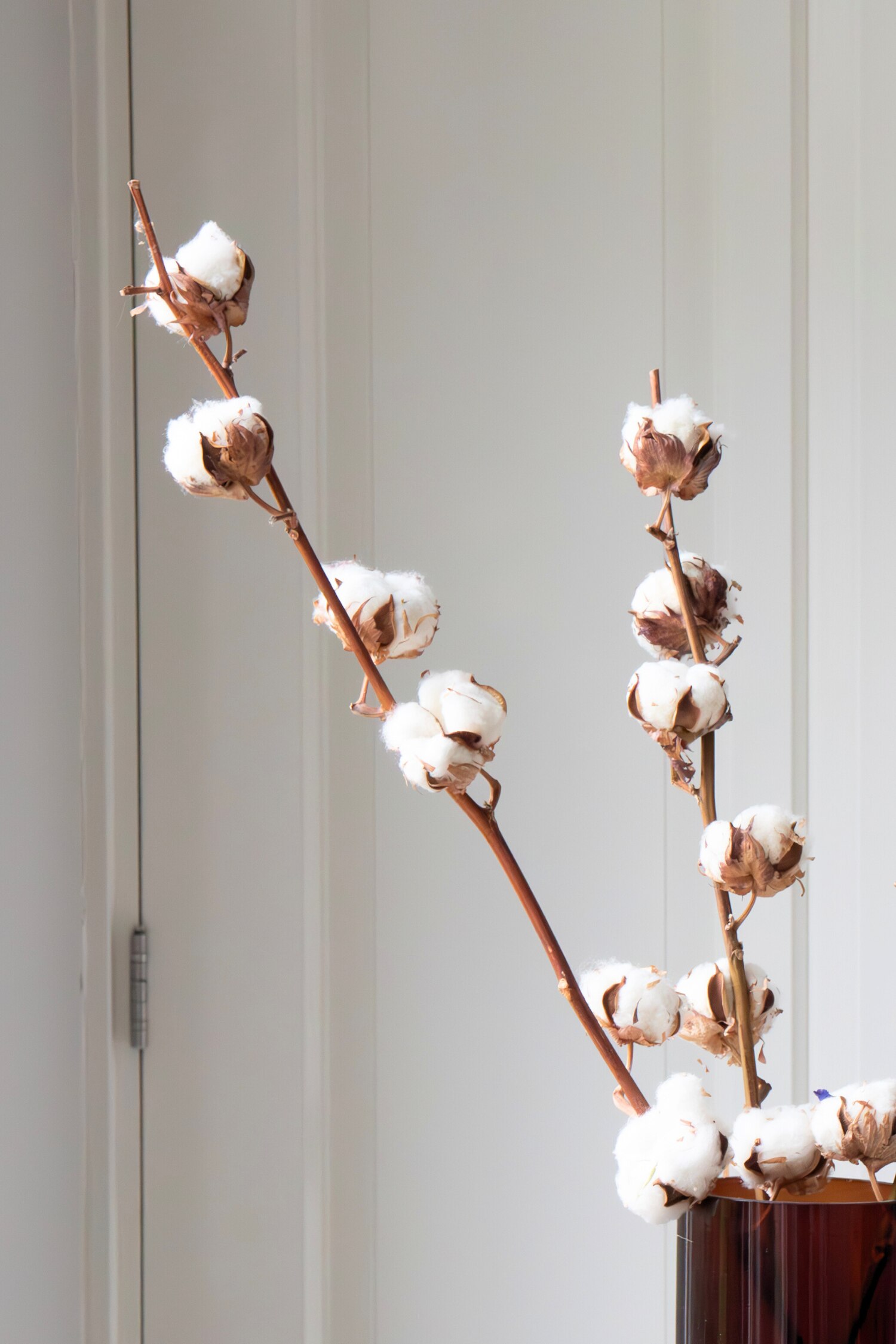 Cotton Branches - H 40cm