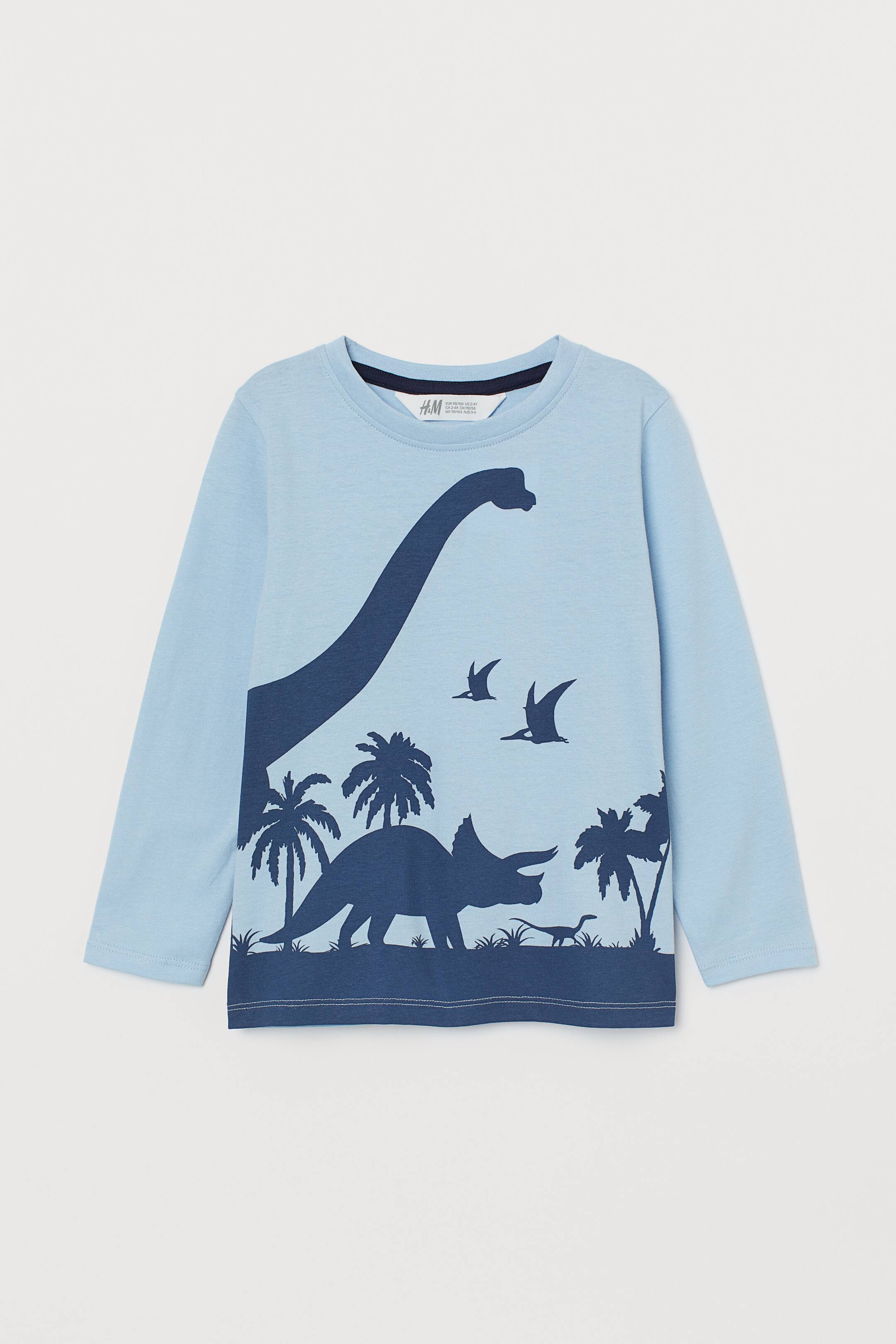 Printed jersey top - Round neck - Long sleeve - Light blue/Dinosaurs ...