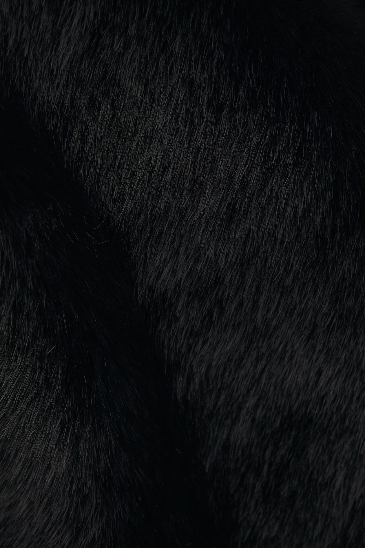 Fluffy Coat with Shawl Collar - image 3