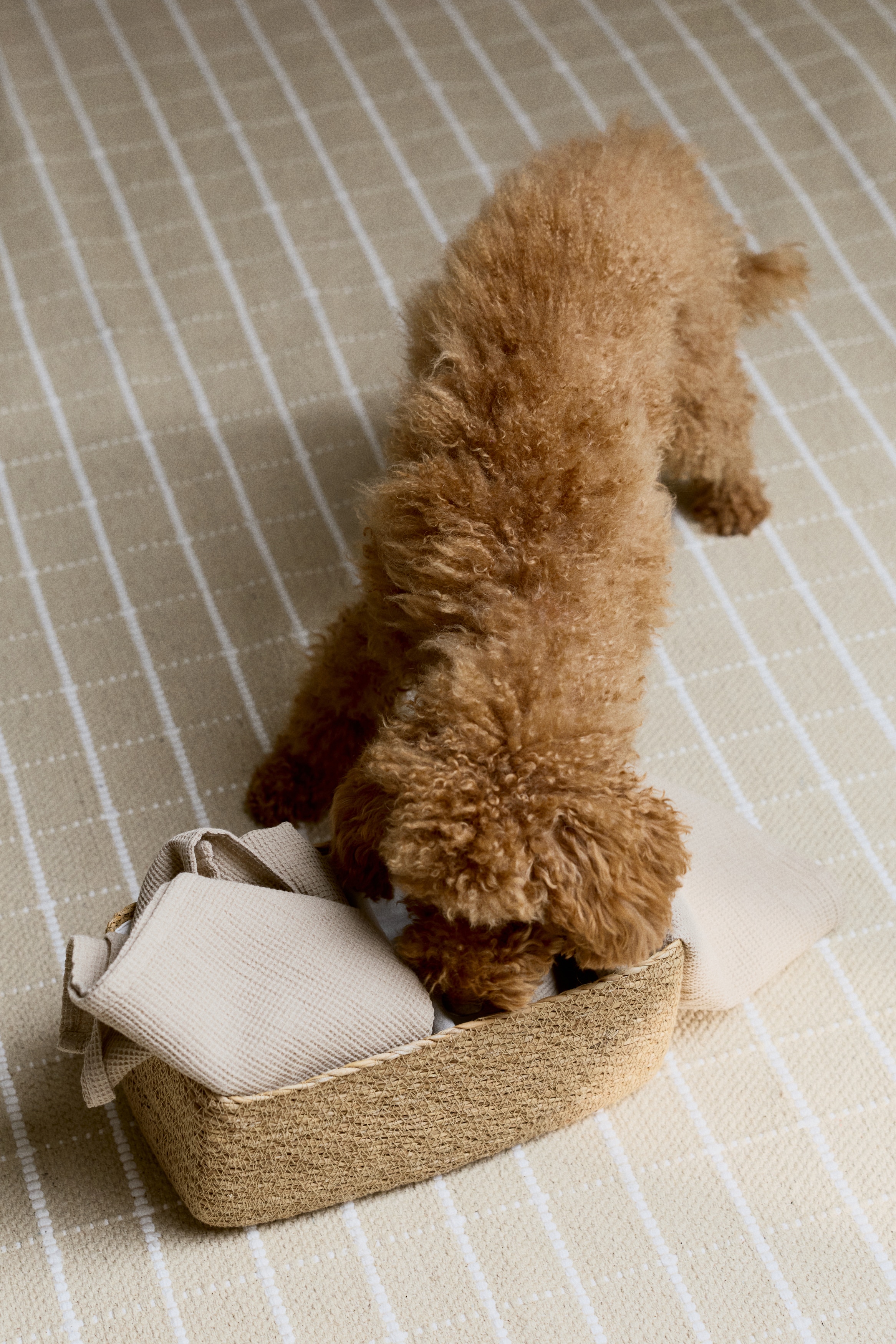 Korb aus Seegras - Beige