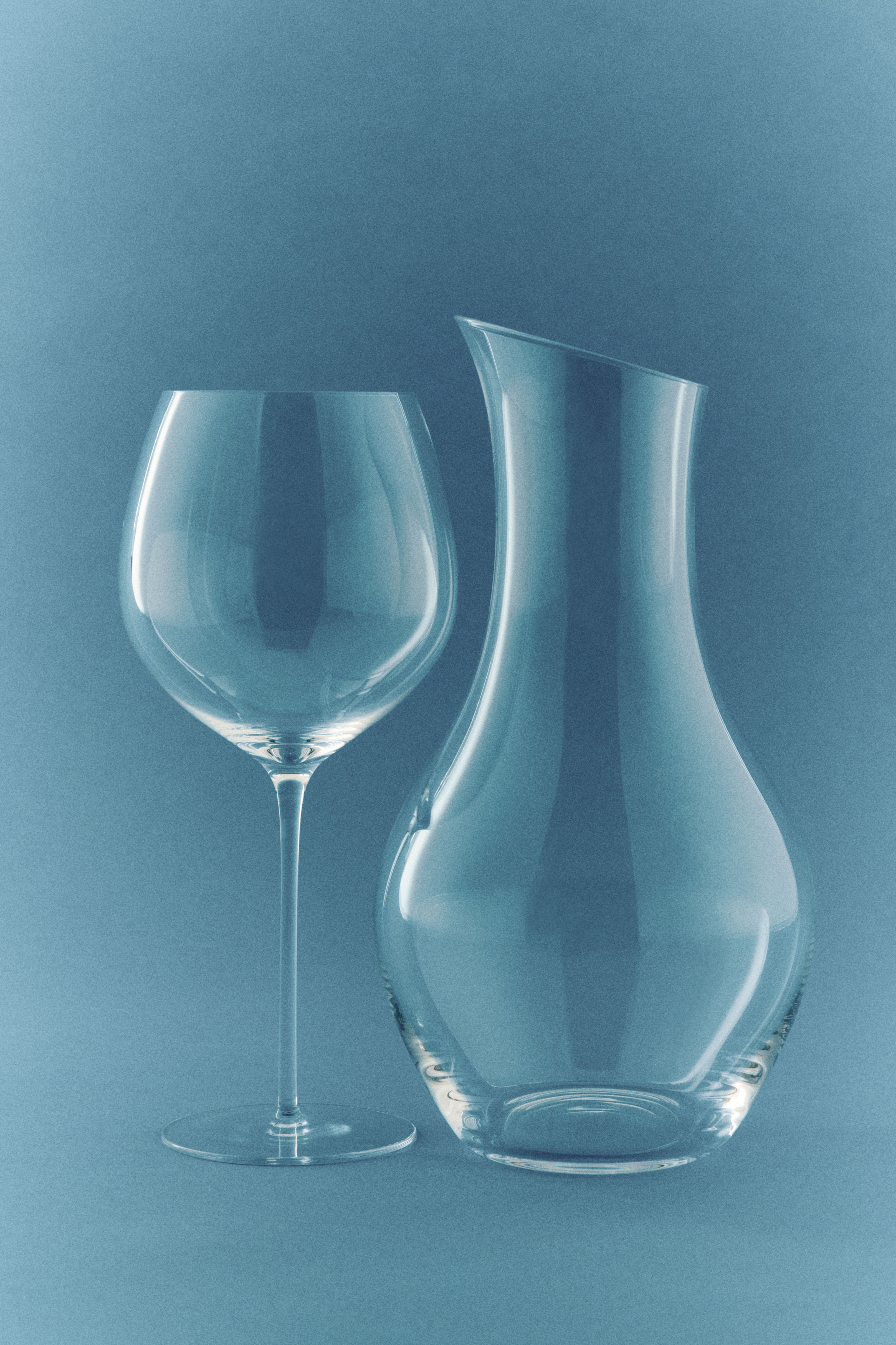2-Pack Delicate White Wine Glasses