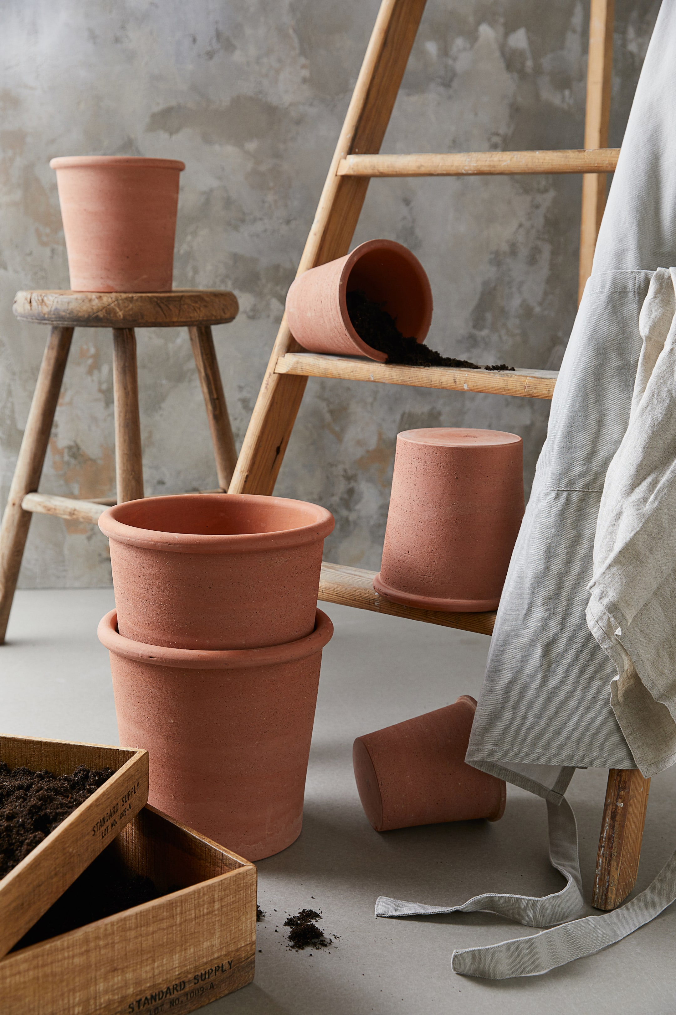 Terracotta Plant Pot