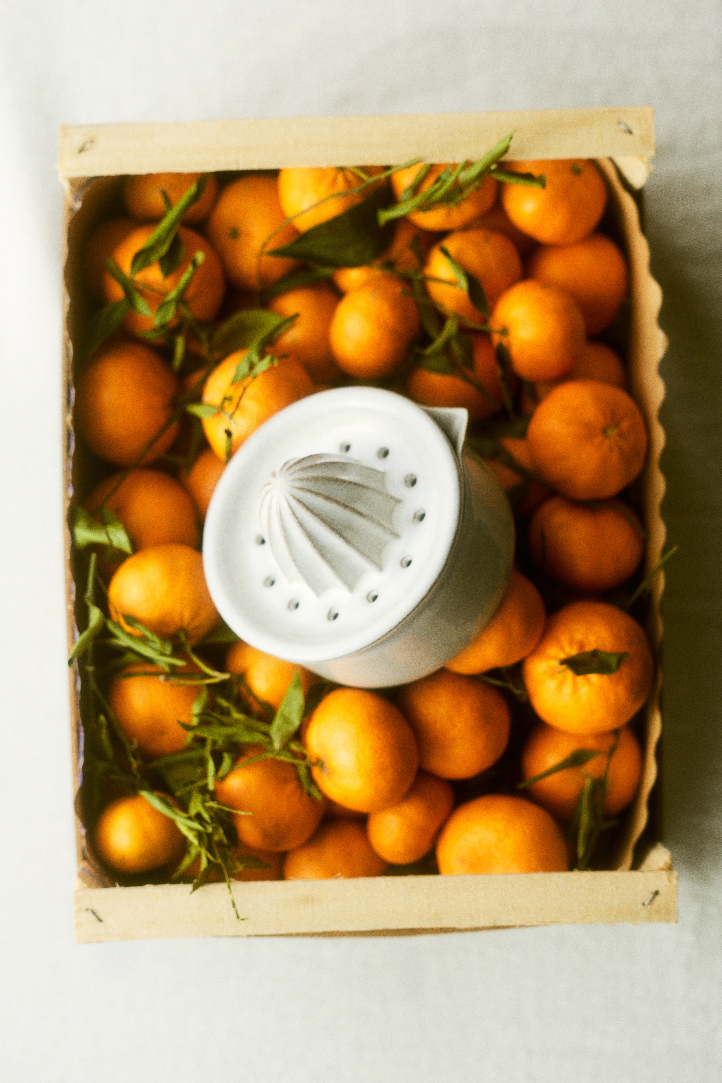 Citronpress med reaktiv glasering - Vit