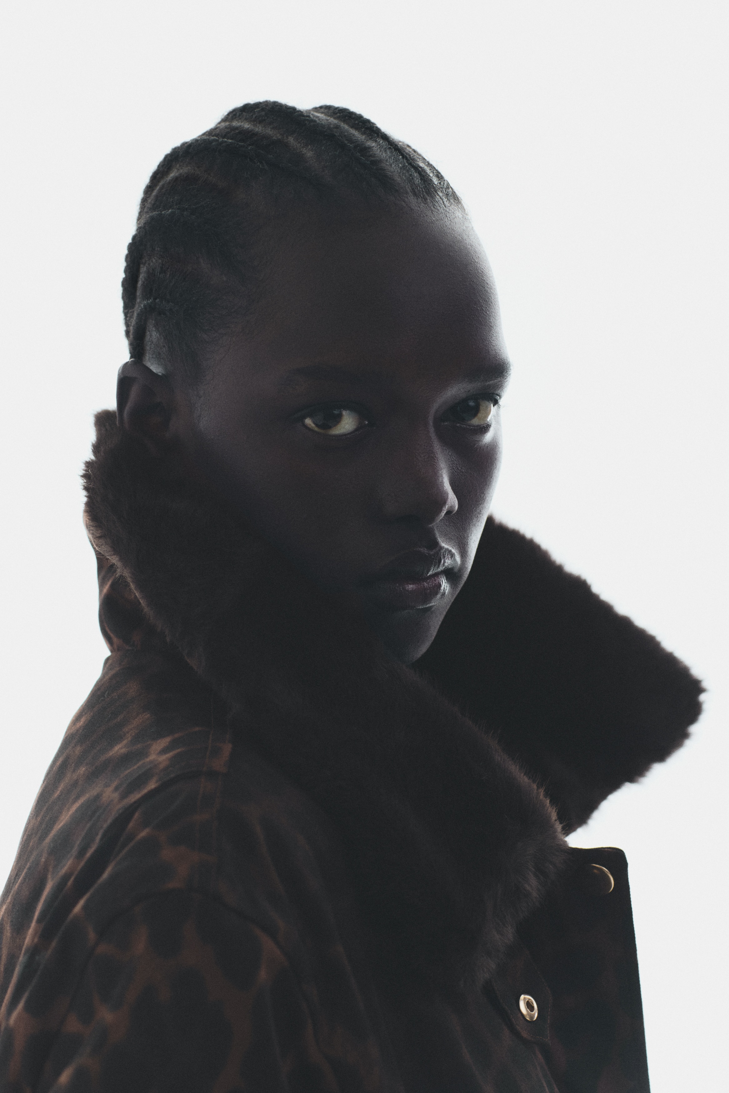 Giacca imbottita in twill - Marrone/leopardato