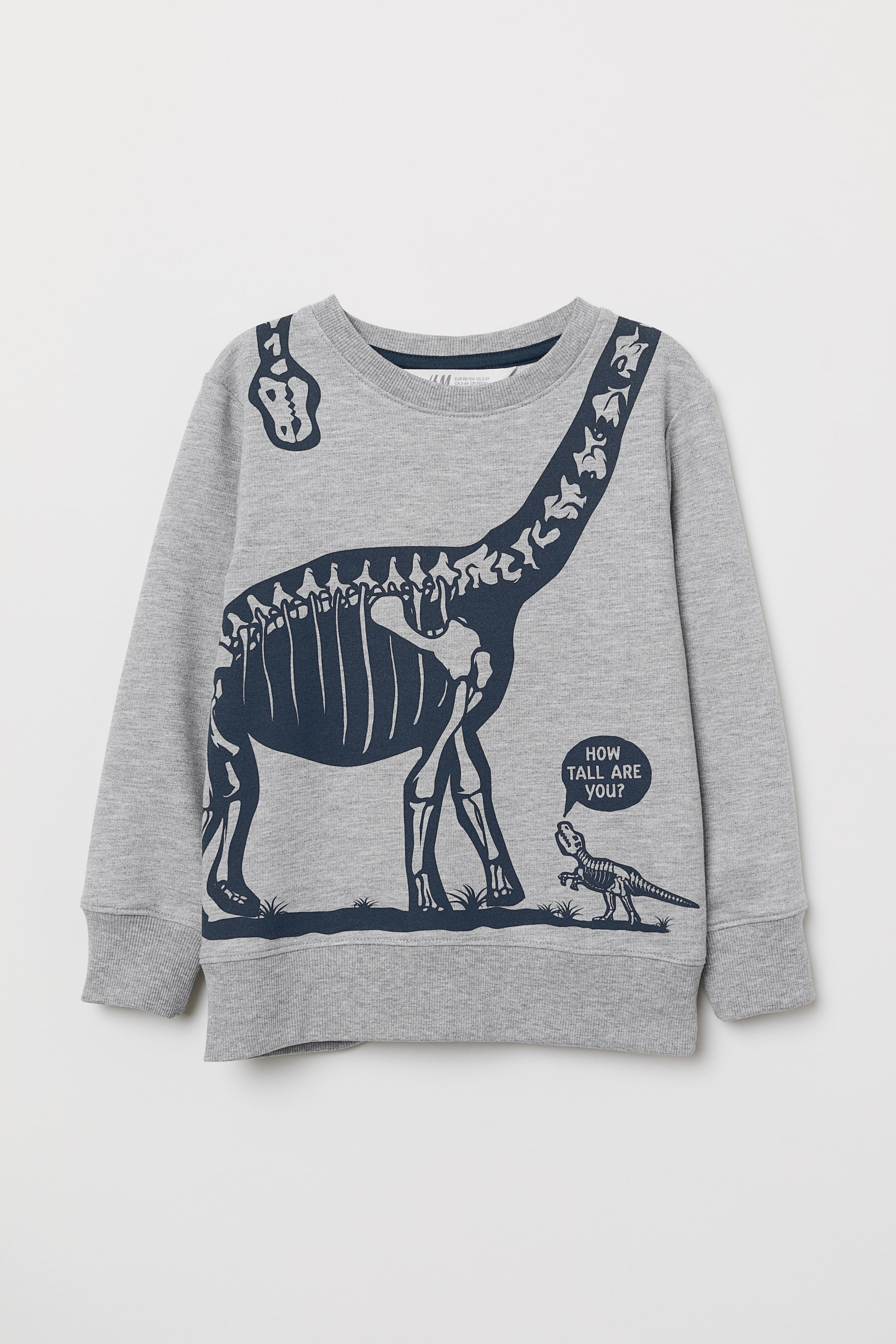 Grotere afbeelding bekijken: Sweater - Grijs gemêleerd/dinosaurussen - KINDEREN | H&M NL 1