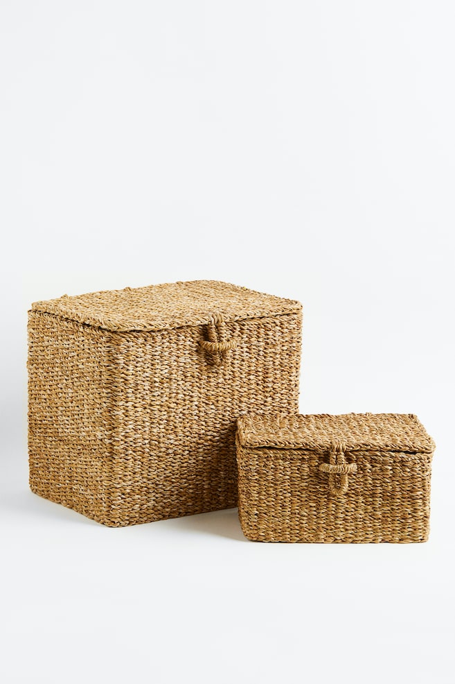 Lidded storage basket - Beige - 3