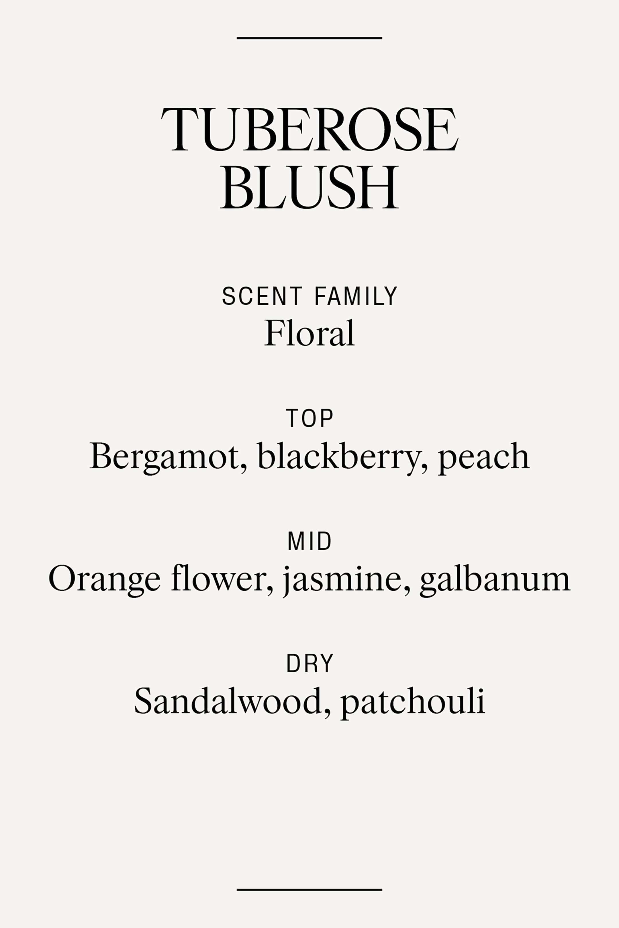 View larger image: A scent profile for 'Tuberose Blush' is being presented, categorizing it as a 'Floral' scent family. It is detailing top notes of bergamot, blackberry, and peach, mid notes of orange flower, jasmine, and galbanum, and dry notes of sandalwood and patchouli.