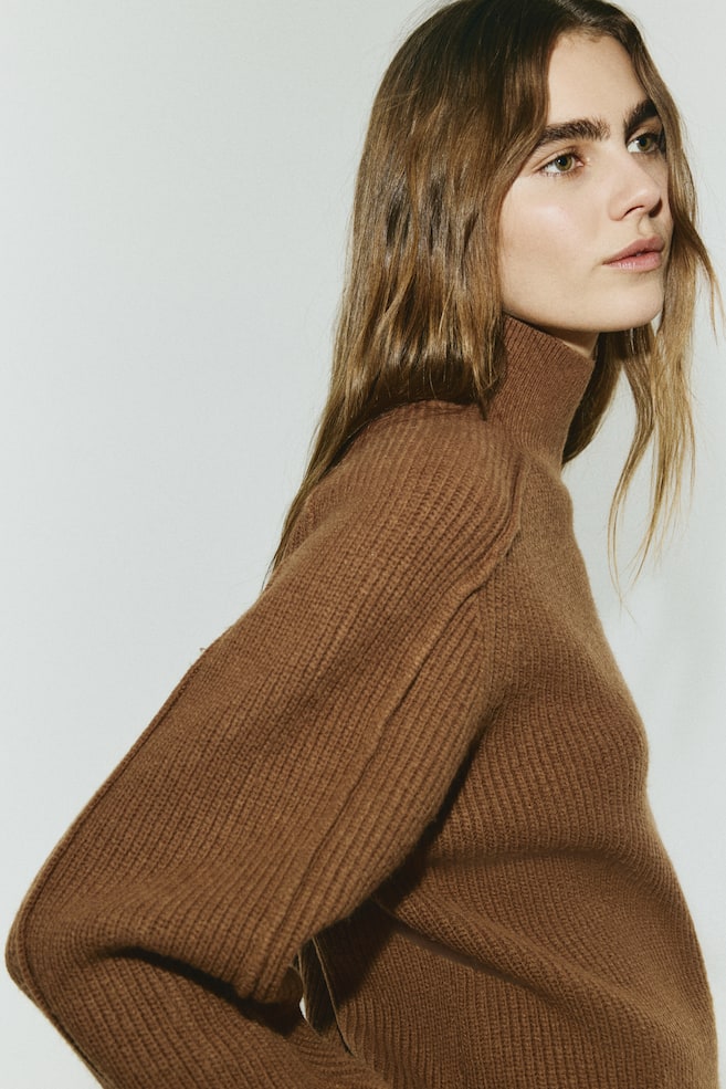 Rib-Knit Mock Turtleneck Sweater - Brown/Light beige - 6