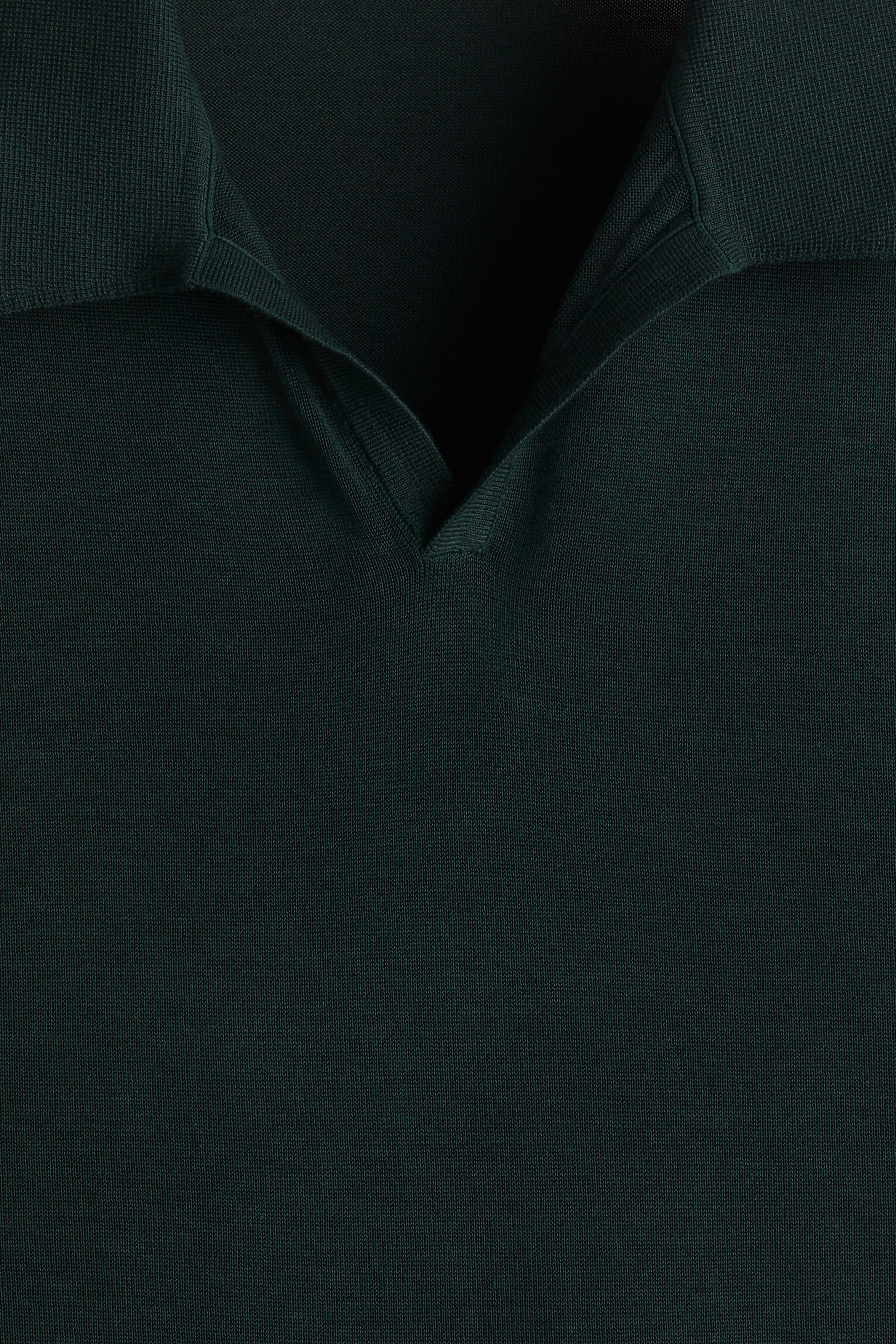 Regular Fit V-neck polo shirt