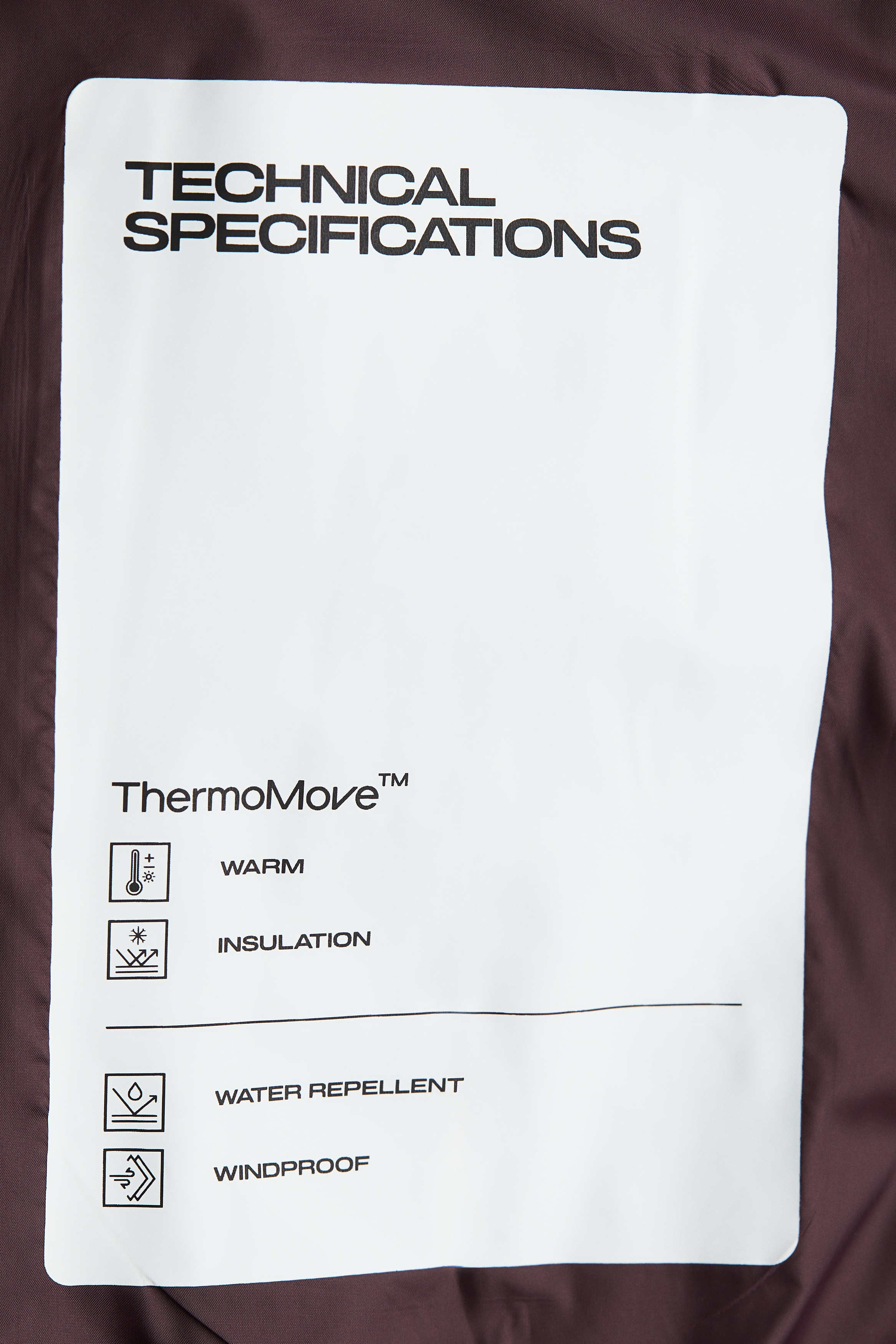 パッデッドスキージャケット ThermoMove™ - ベージュ - レディース