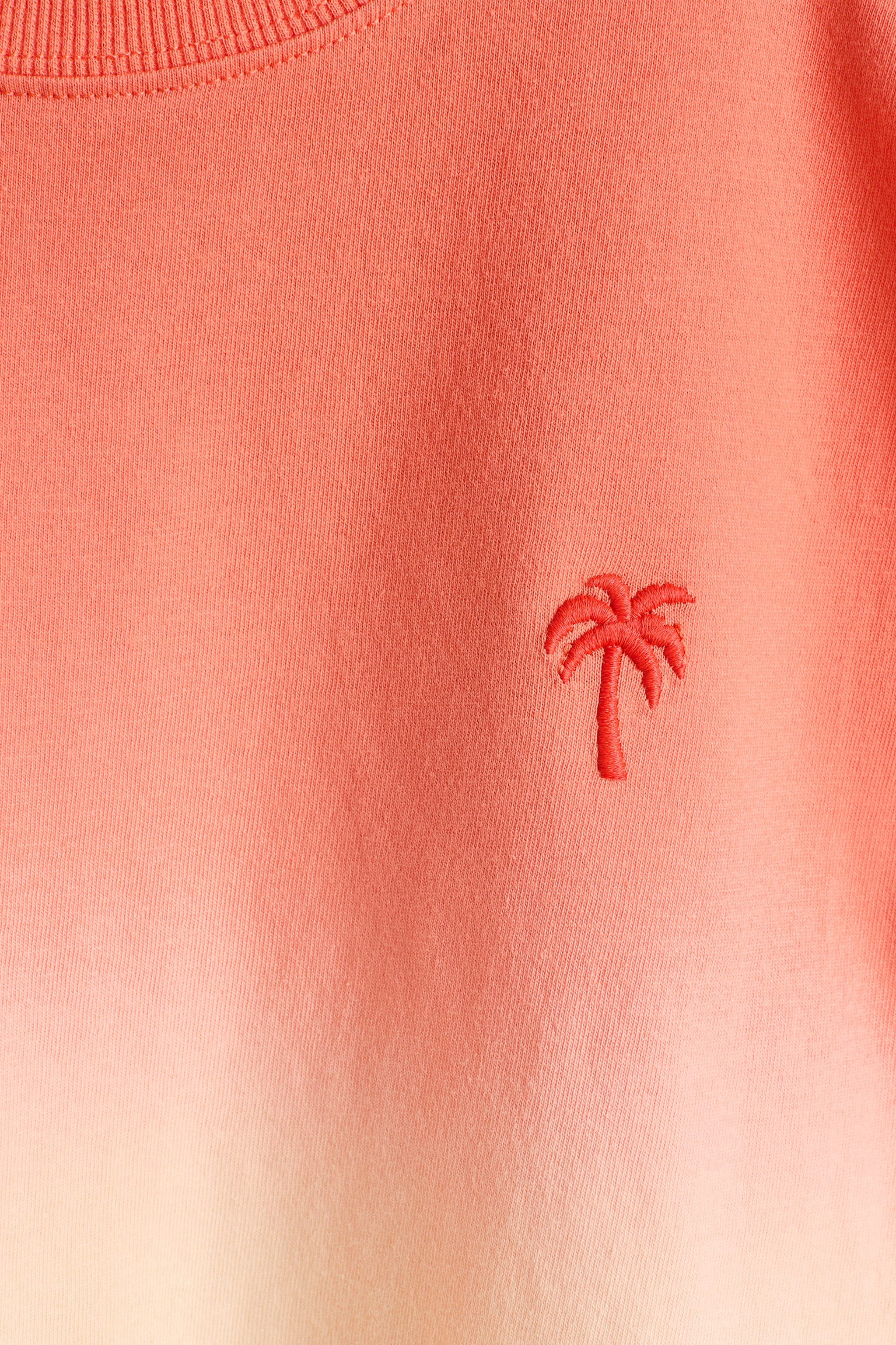 T-shirt en jersey de coton - 2