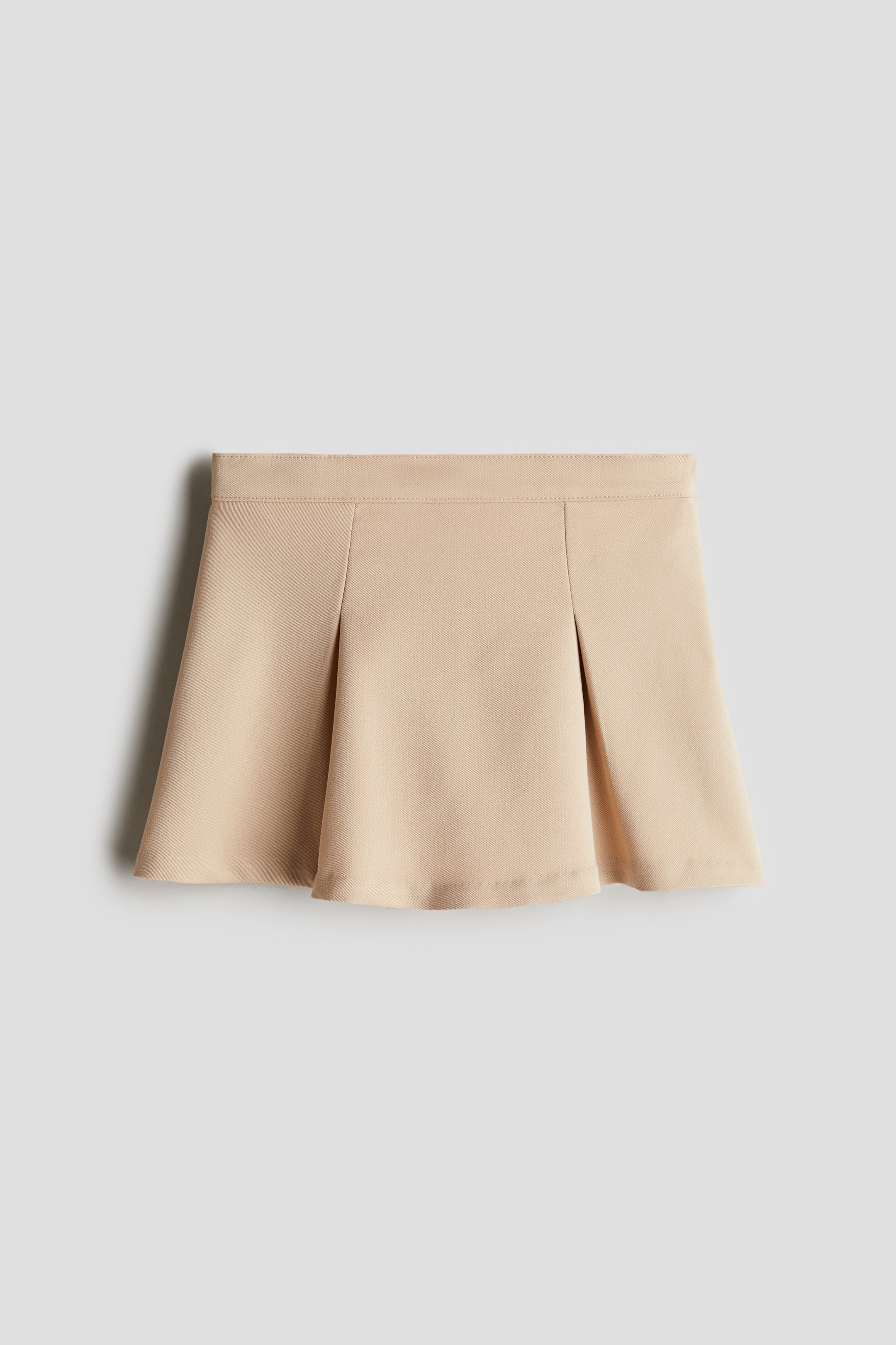 Pleated Skirt