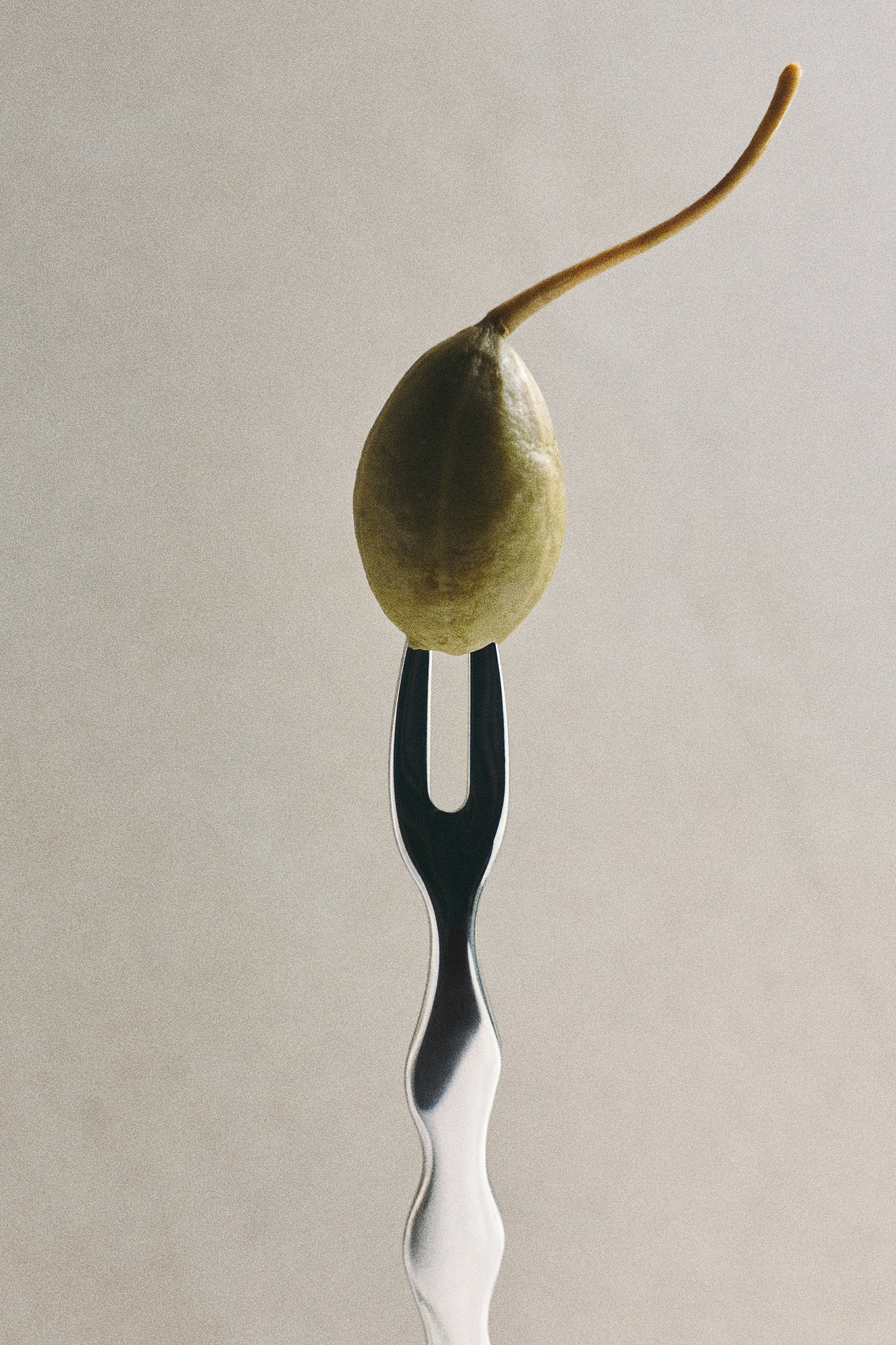 4-Piece Fork Set