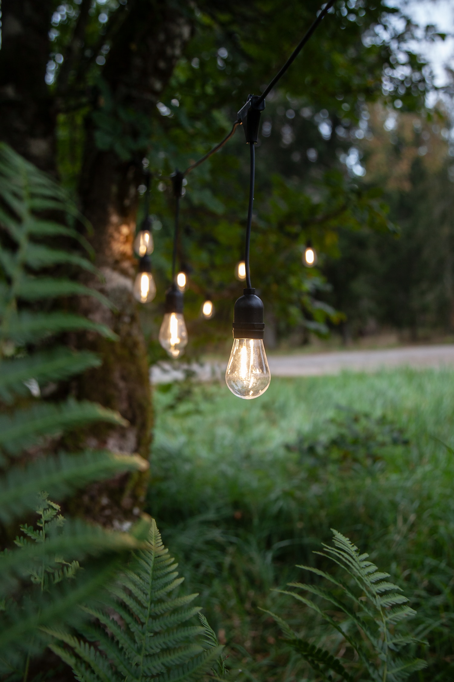 Lichterkette String Light 10 Led Indoor/outdoor - Transparent