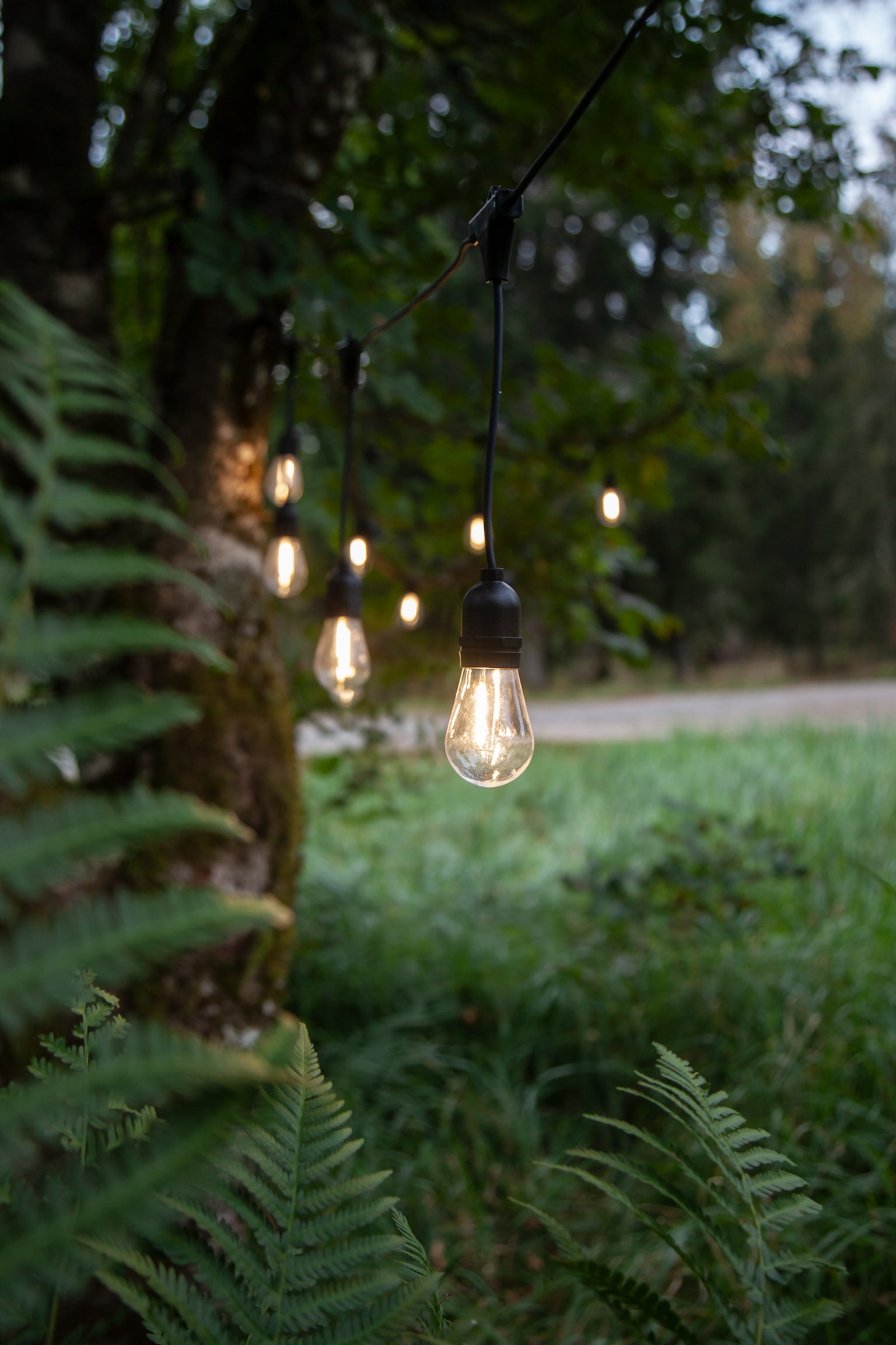 Lichterkette String Light 10 Led Indoor/outdoor - Transparent - 2