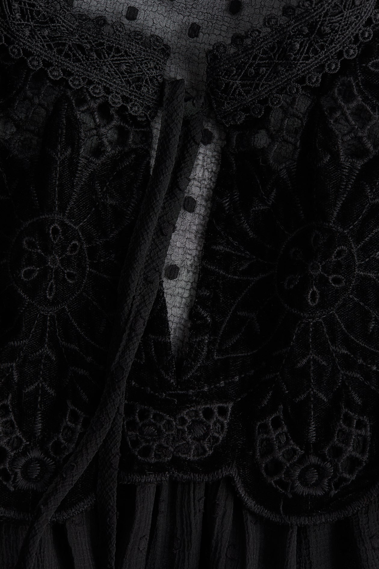 Sheer Lace-Detail Blouse - image 2