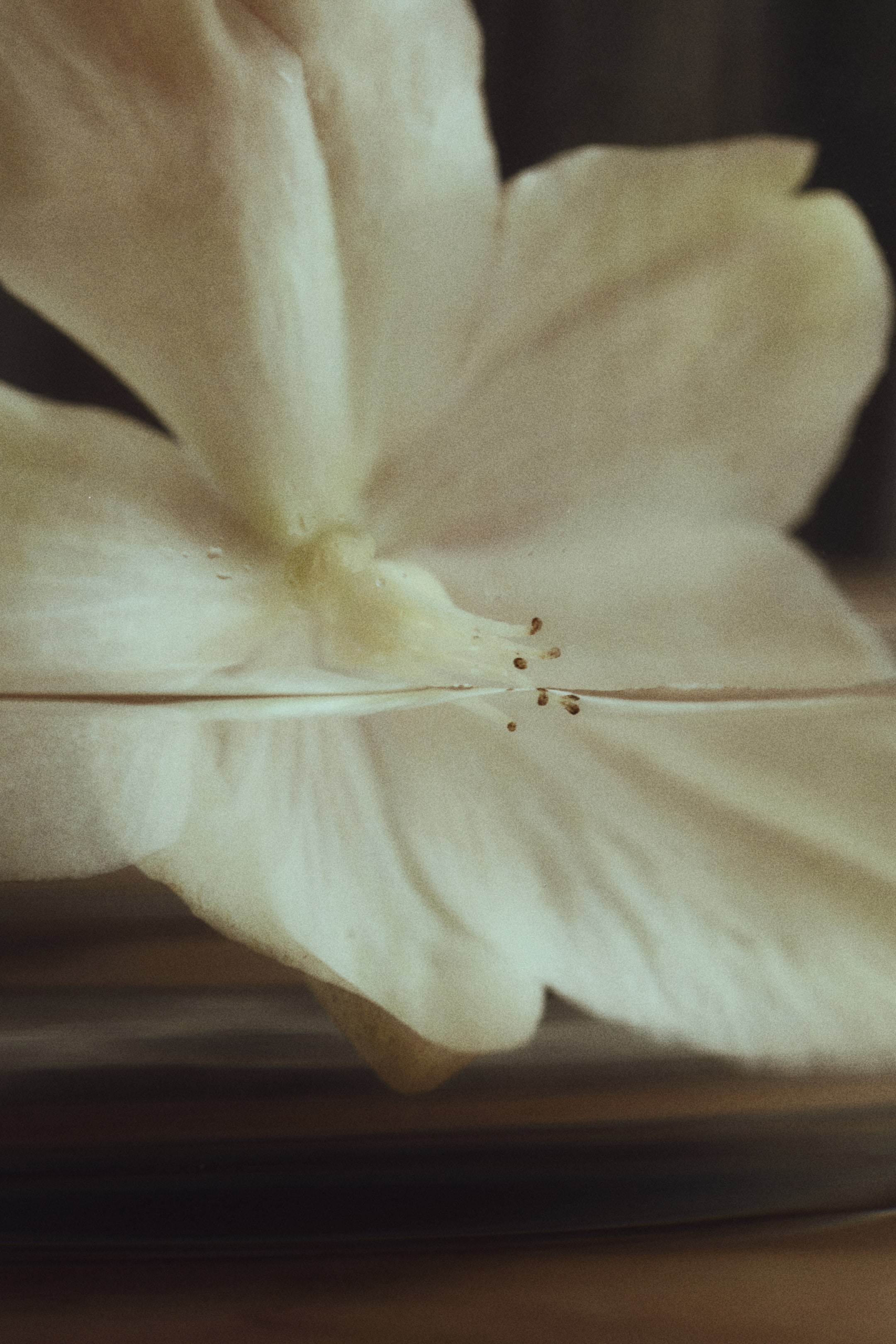 Visa större bild: Stor vas med trappstegsdesign - Transparent - Home All | H&M SE 2