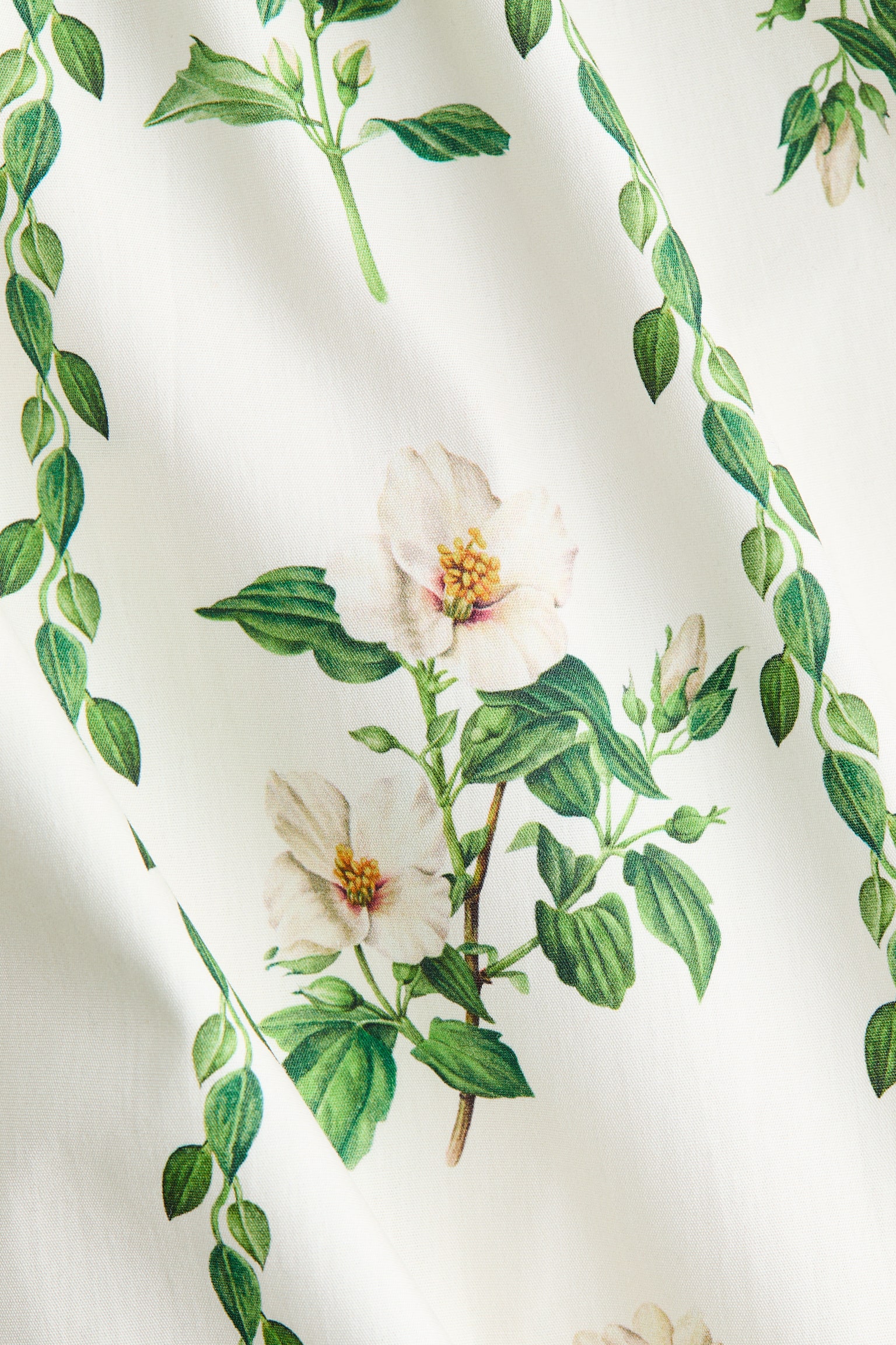 Flared-skirt cotton dress - Ivory/Floral - 6