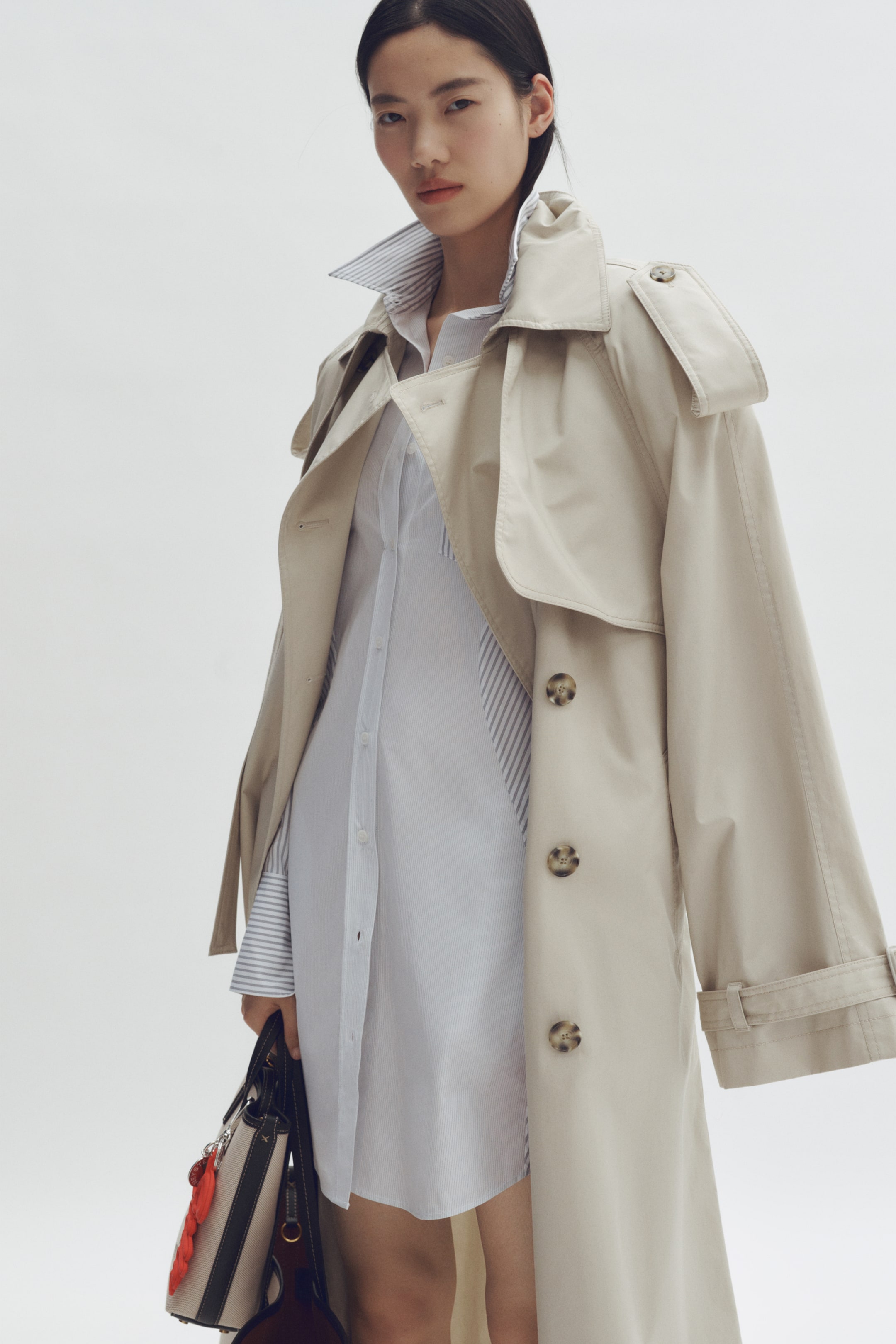 Cotton Poplin Shirt Dress