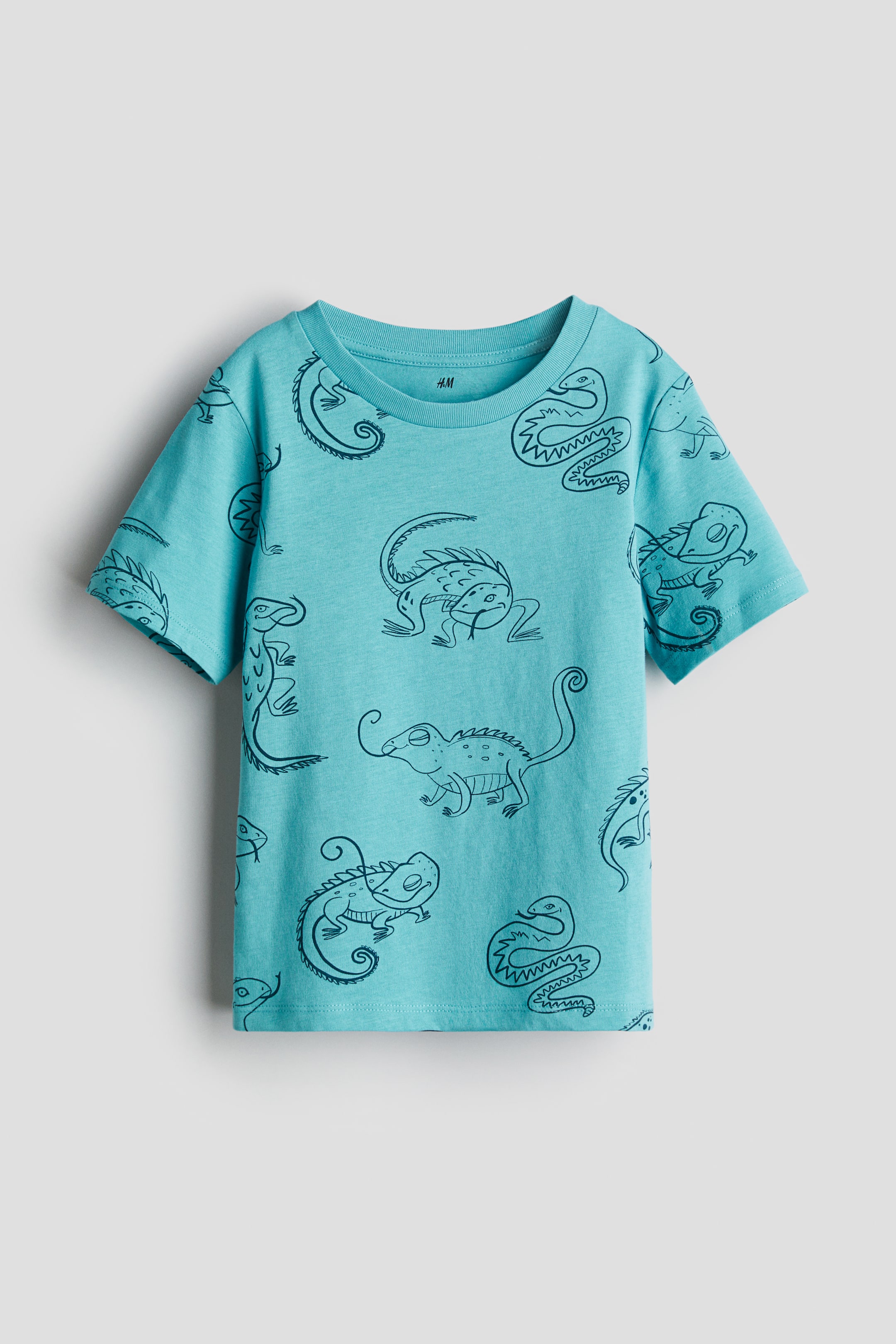 Printed T-shirt - Turquoise/lizards - Kids | H&M US