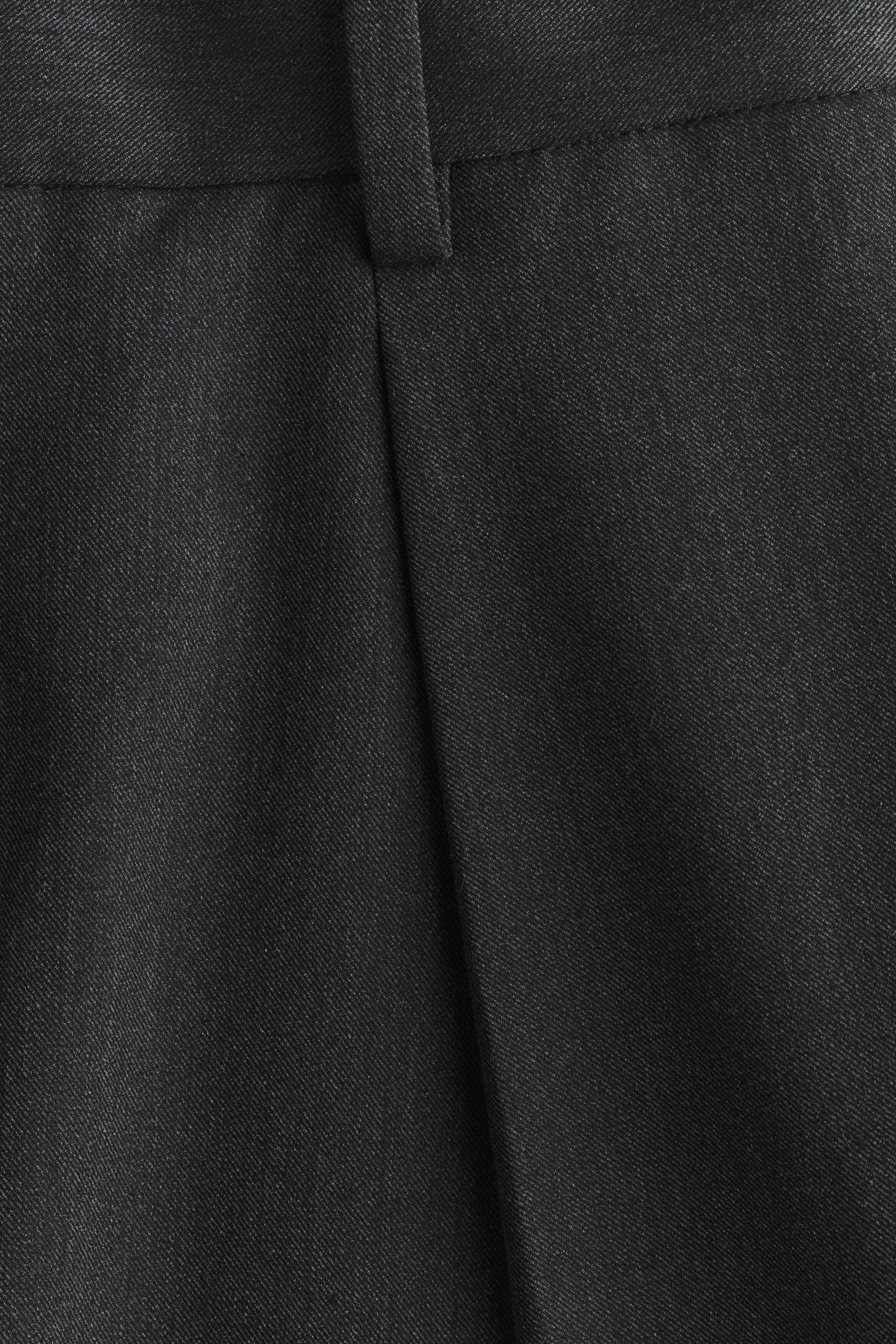 Loose-Fit Pleated Tailored Pants
