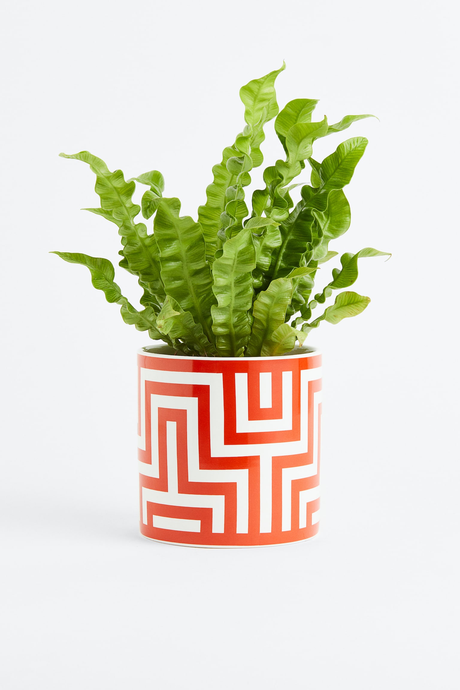 Stoneware plant pot - Orange/Patterned - 3