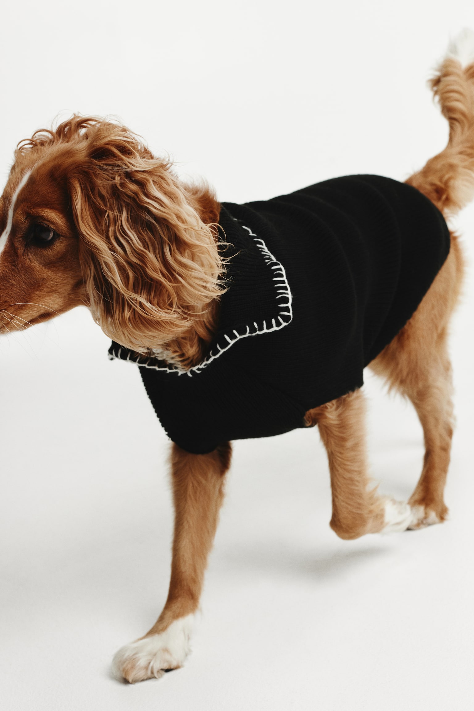 Rib Knit Dog Sweater - Black - 4