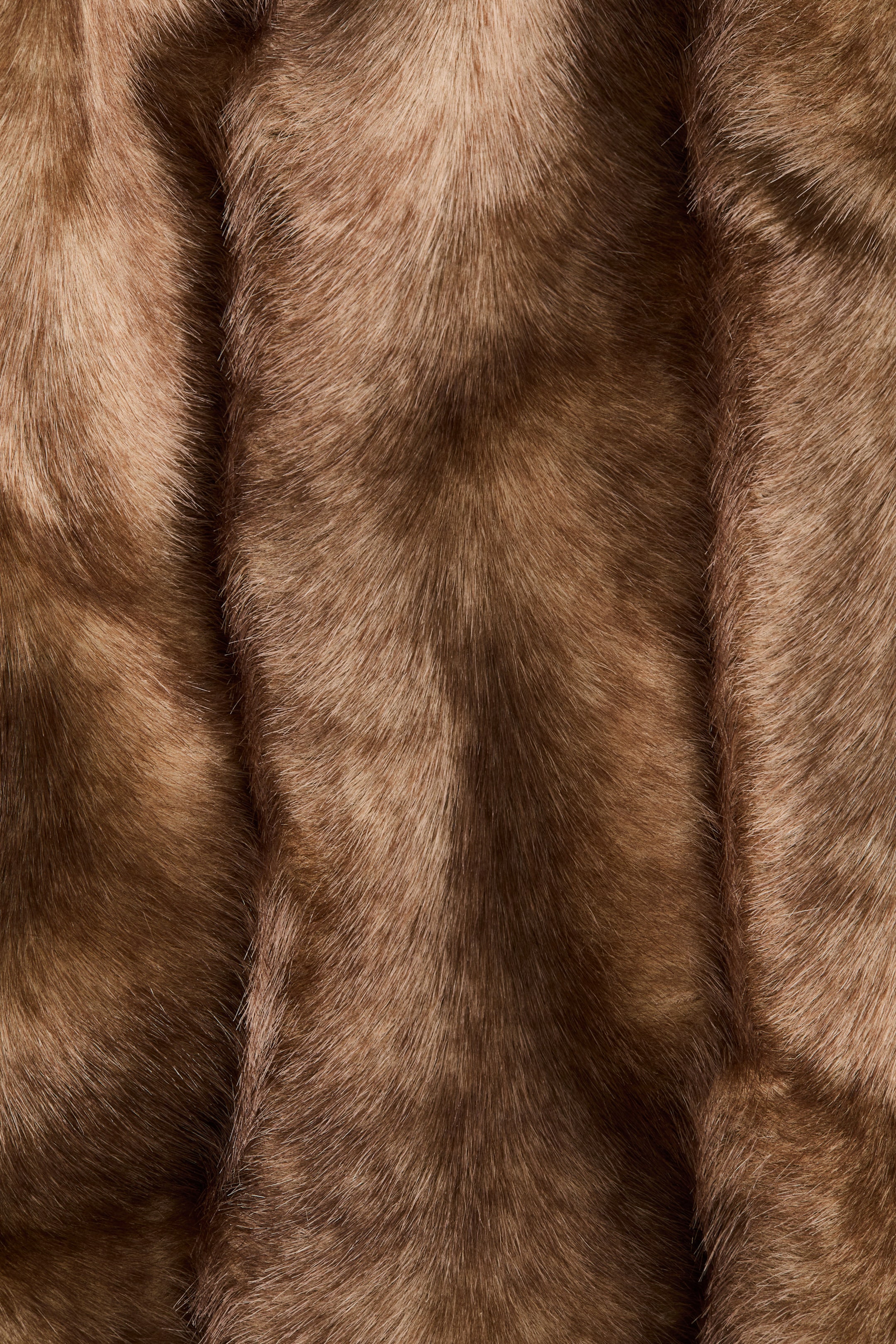 View larger image: Hooded Jacket - Dark beige - Ladies | H&M US 5