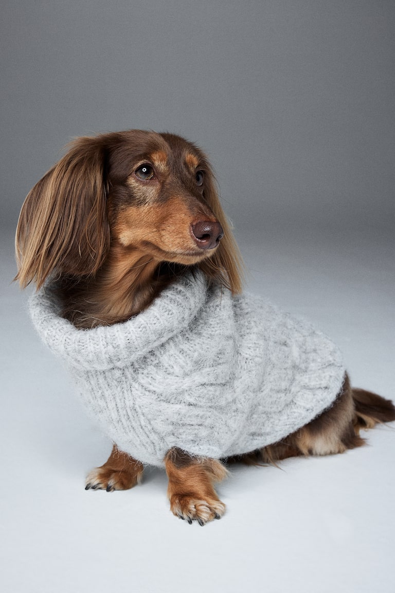 Cane Bassotto Marca Camicie Bassotto Harmont&blaine Maglia Con