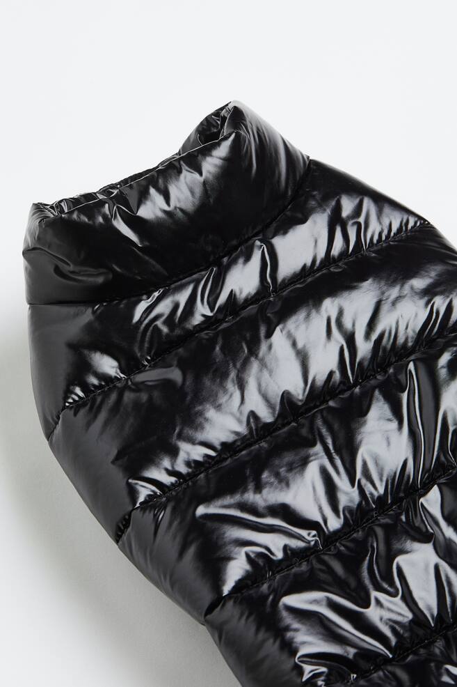 Quilted dog jacket - Black - 7