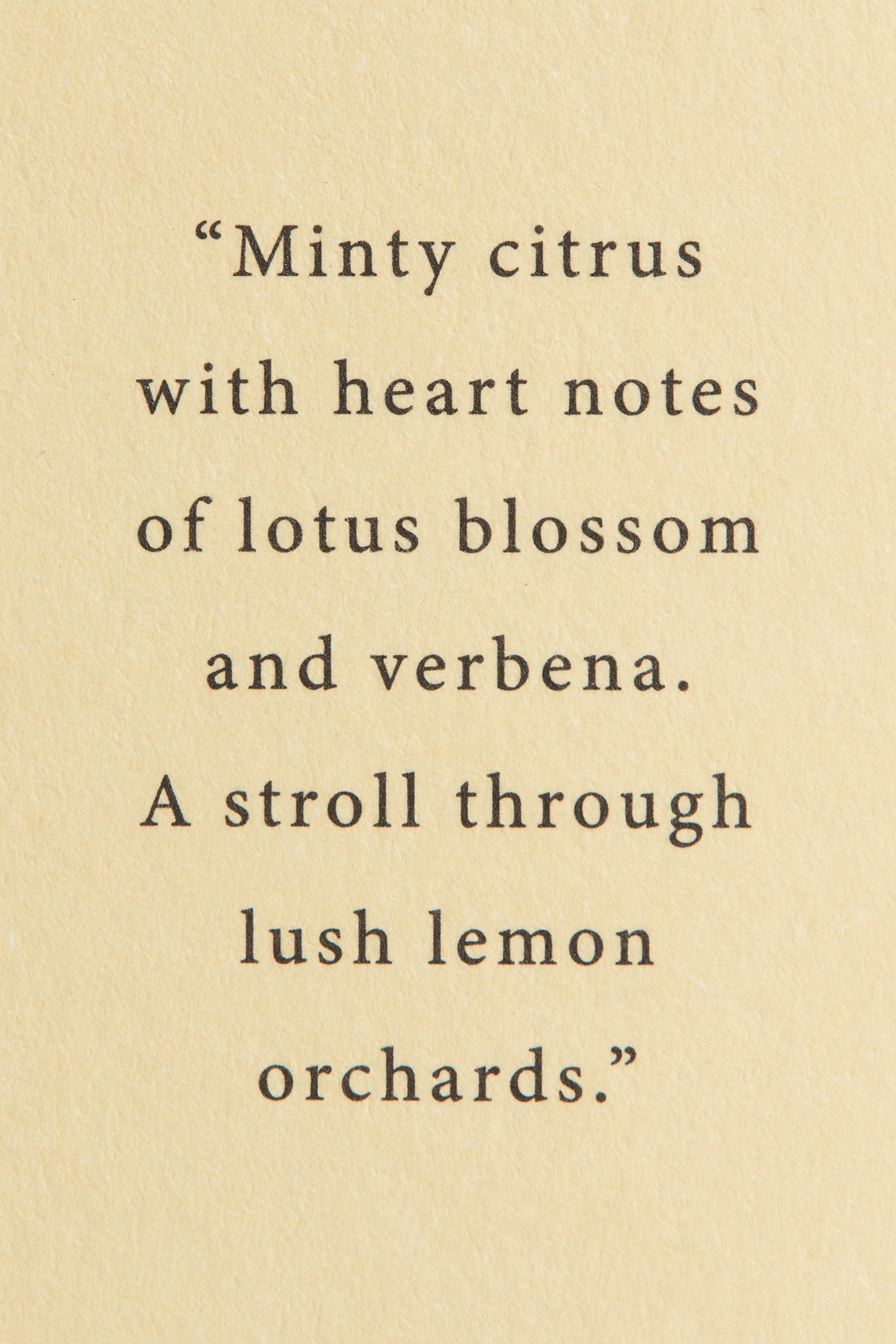 Reed diffuser - Lemon Verde/Vanilla Patchouli/Eucalyptus Mist/Minted Fig/Sequoia Santal - 4