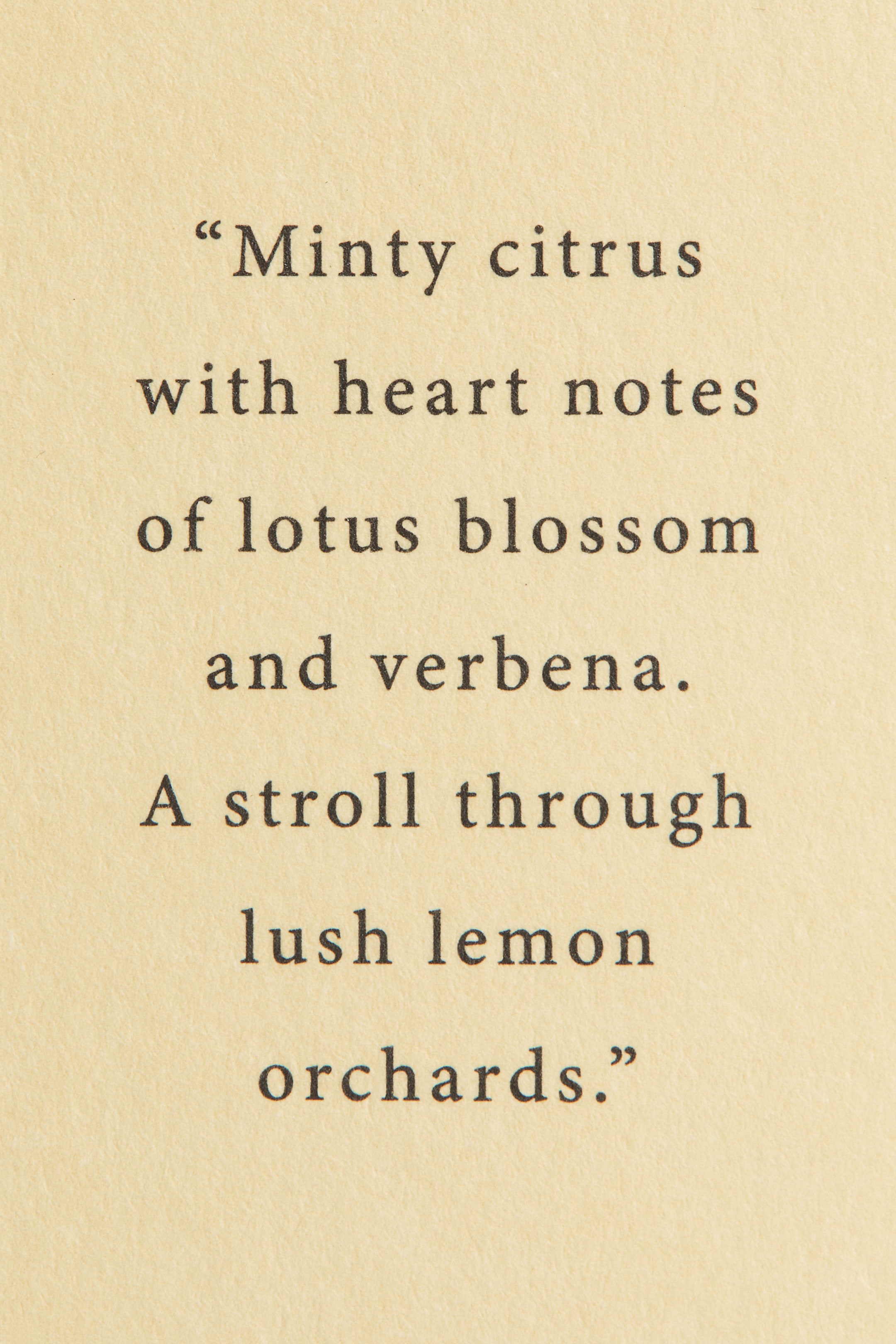 Reed Diffuser