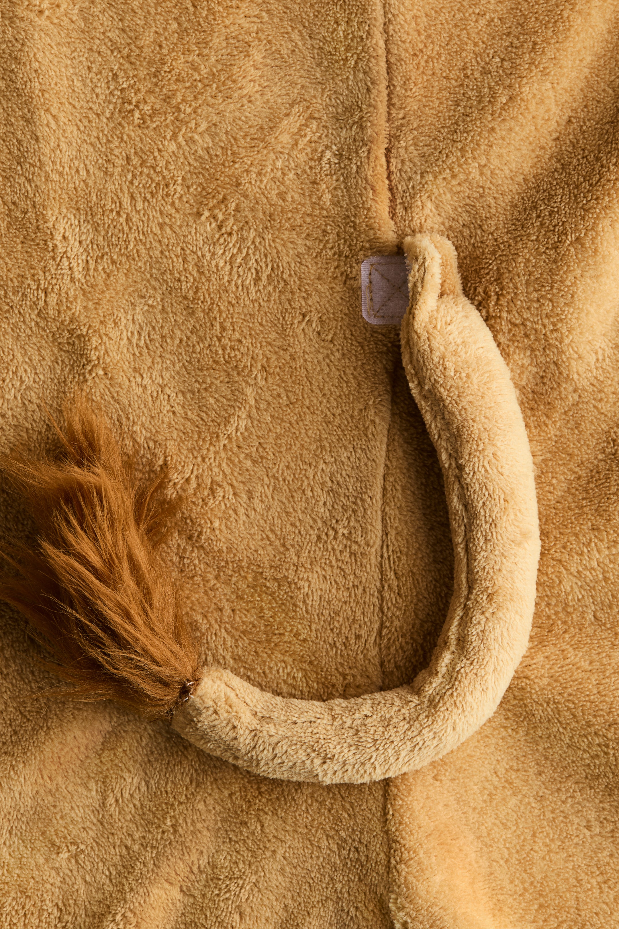 Déguisement de lion