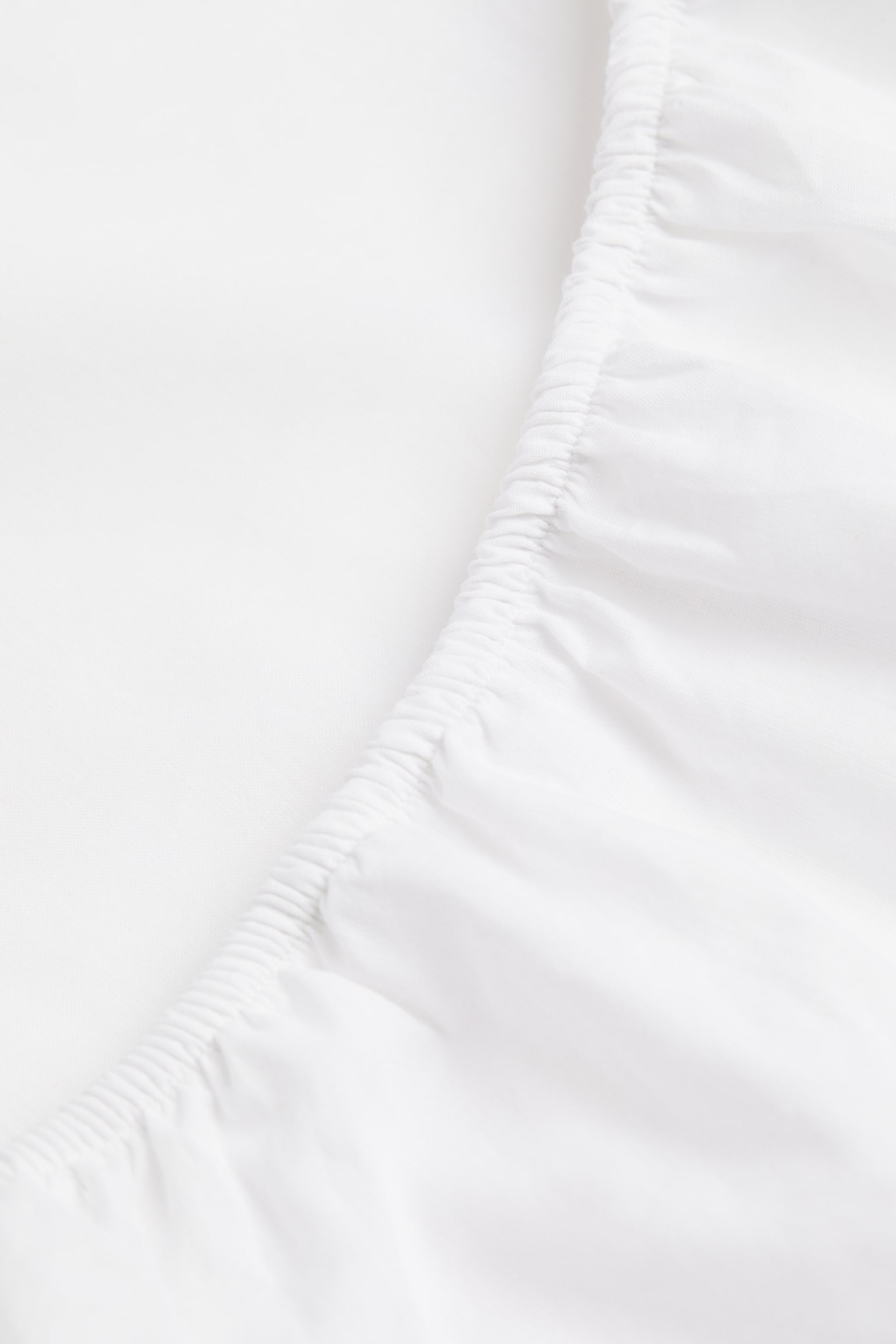 Fitted cotton sheet - White/Greige/Light mole/Light grey/Anthracite grey/Light beige - 3