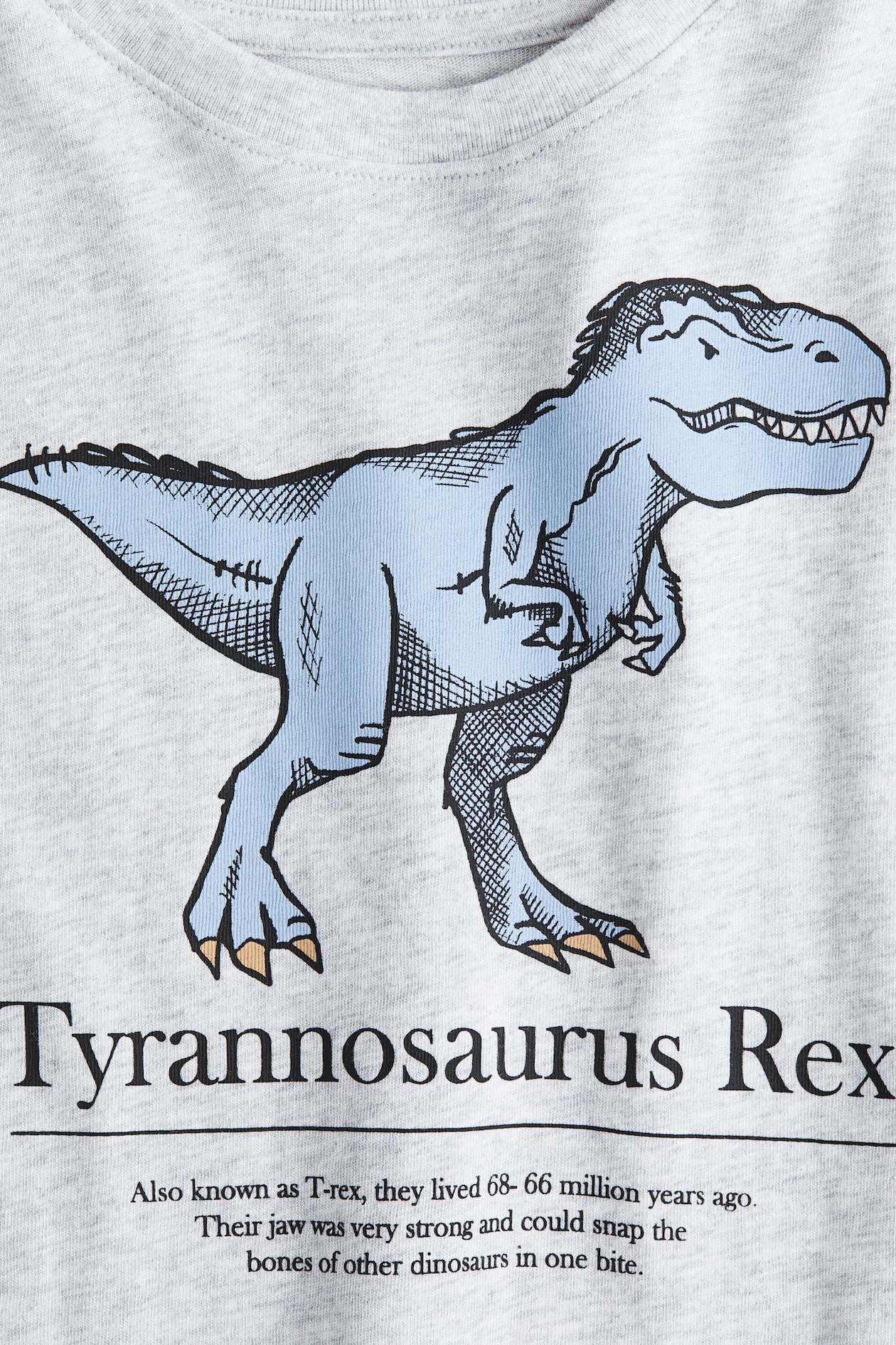 H&M Dinosaur sequin T-shirt main image 1